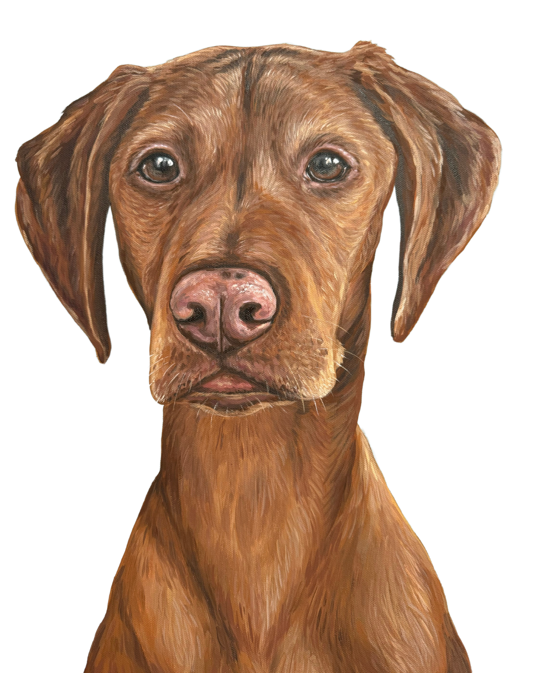 PNG Dog Photos (1).png