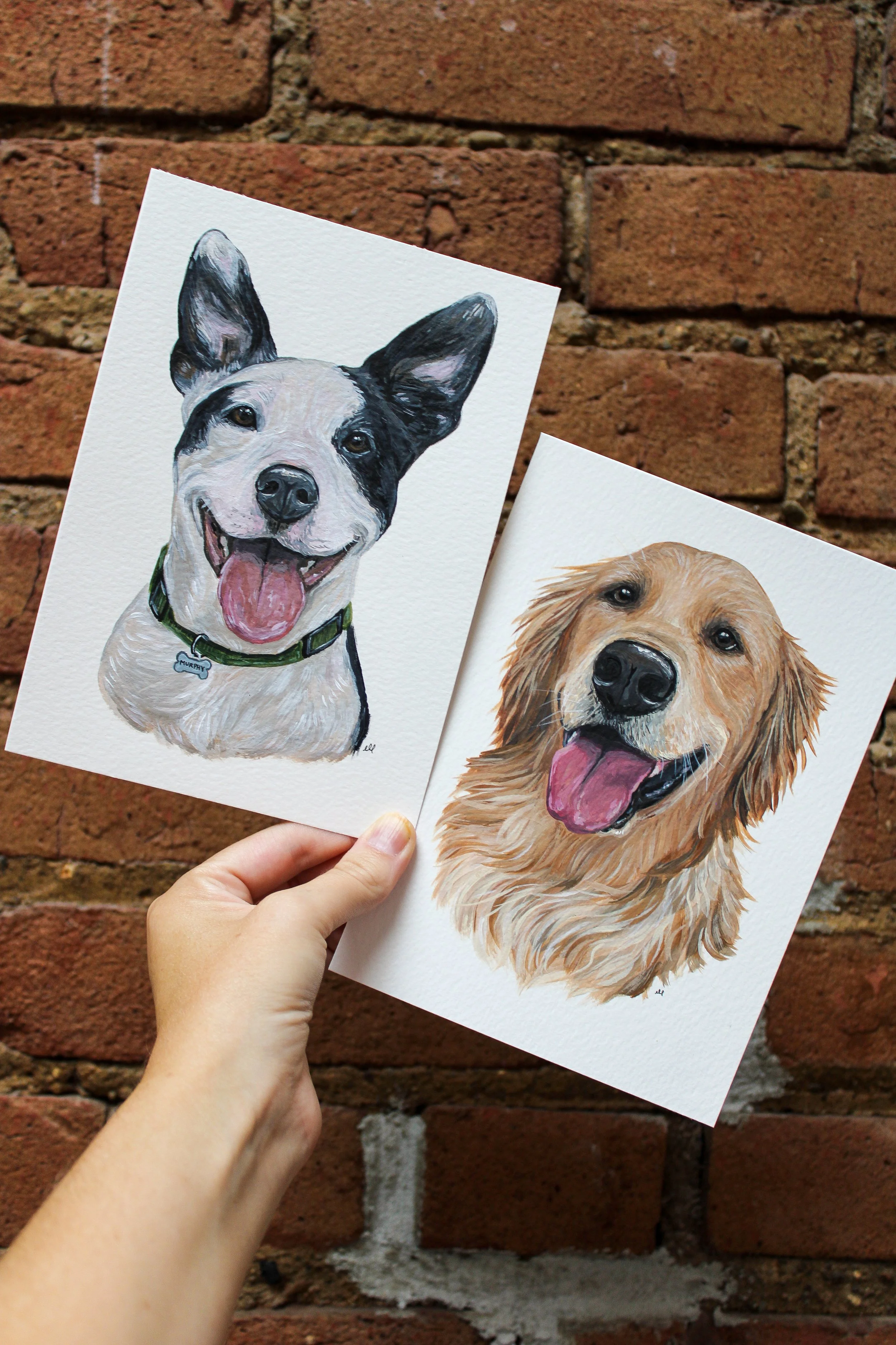 Paper Paintings: Custom Pet Portraits