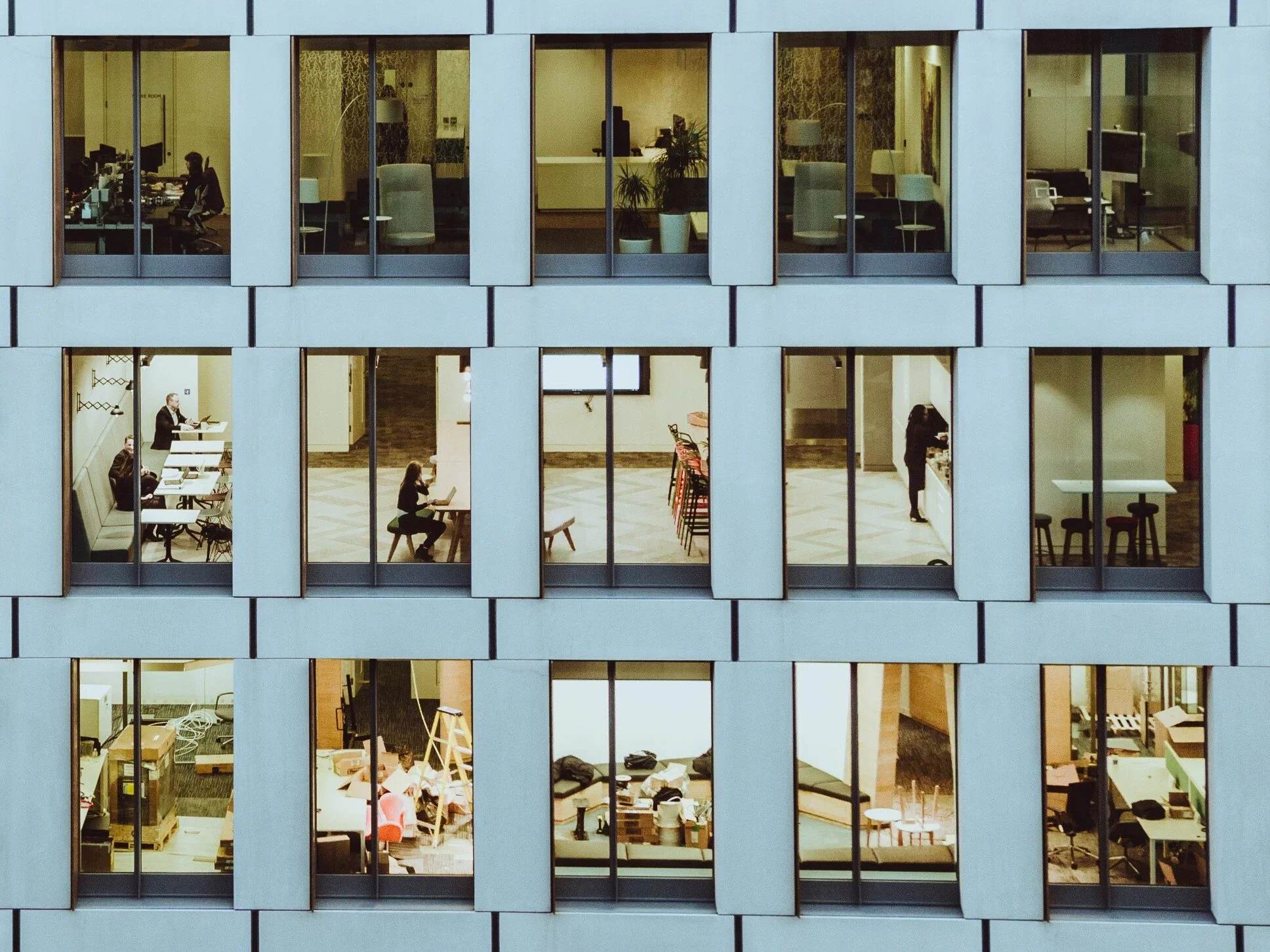 Problem Types in Organisations