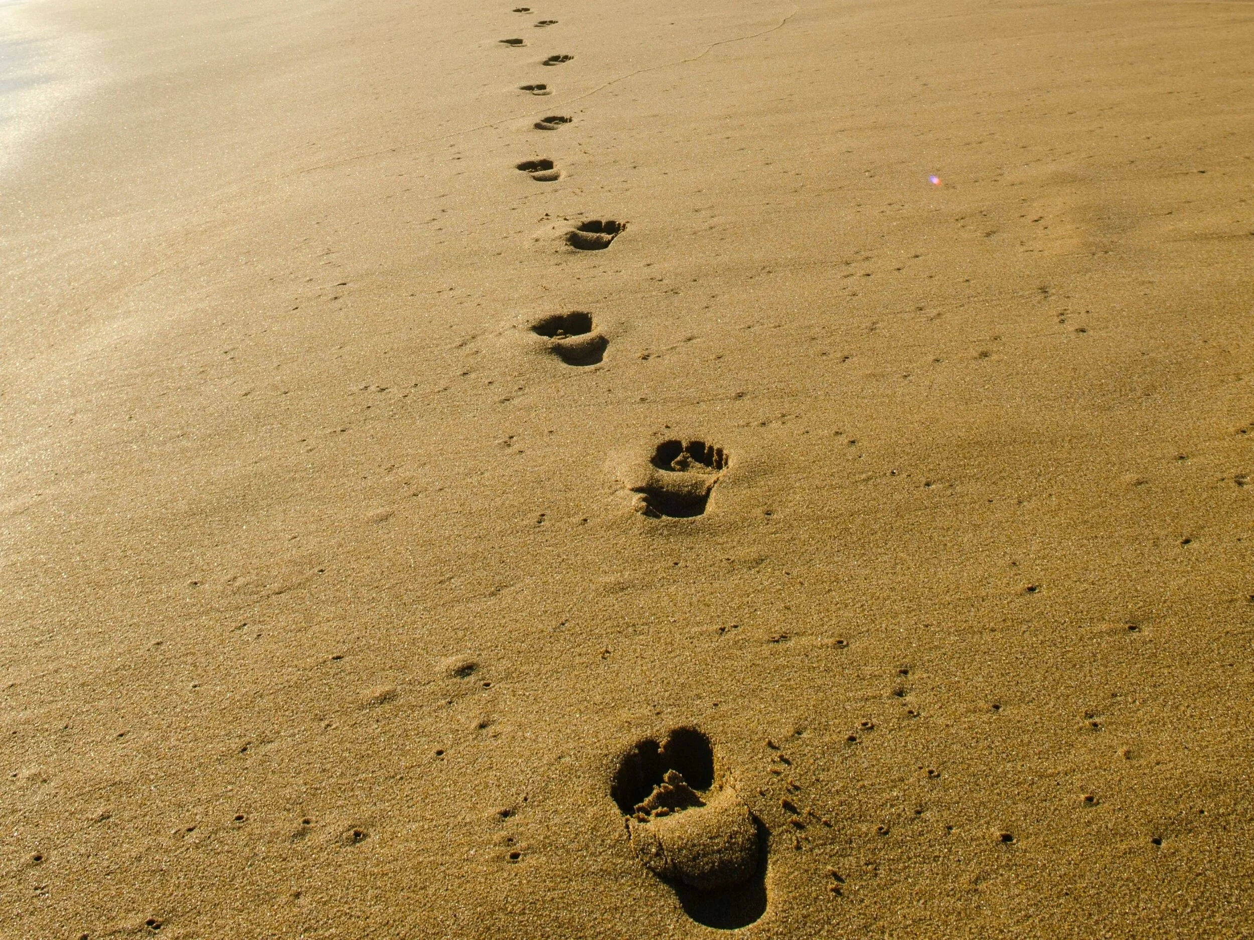 Footprints from walking in the sand