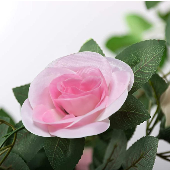 IMG_0872.PNG