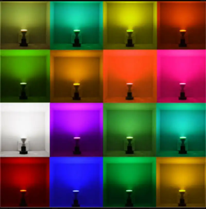 IMG_2626.PNG