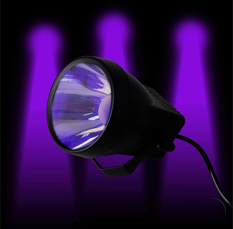 IMG_2636.PNG