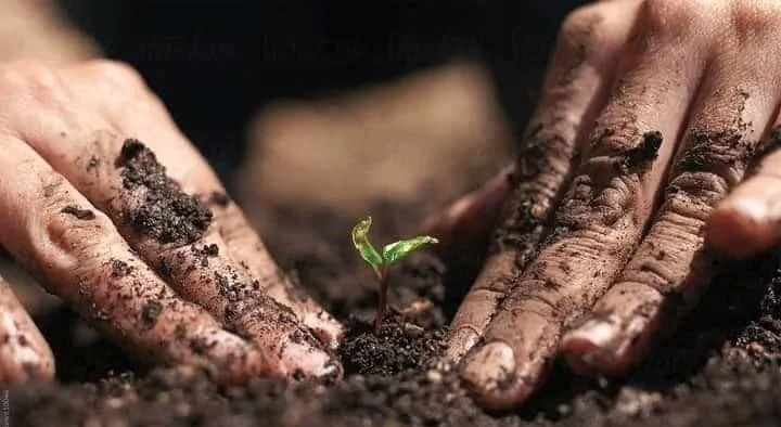 Home Gardener’s Membership