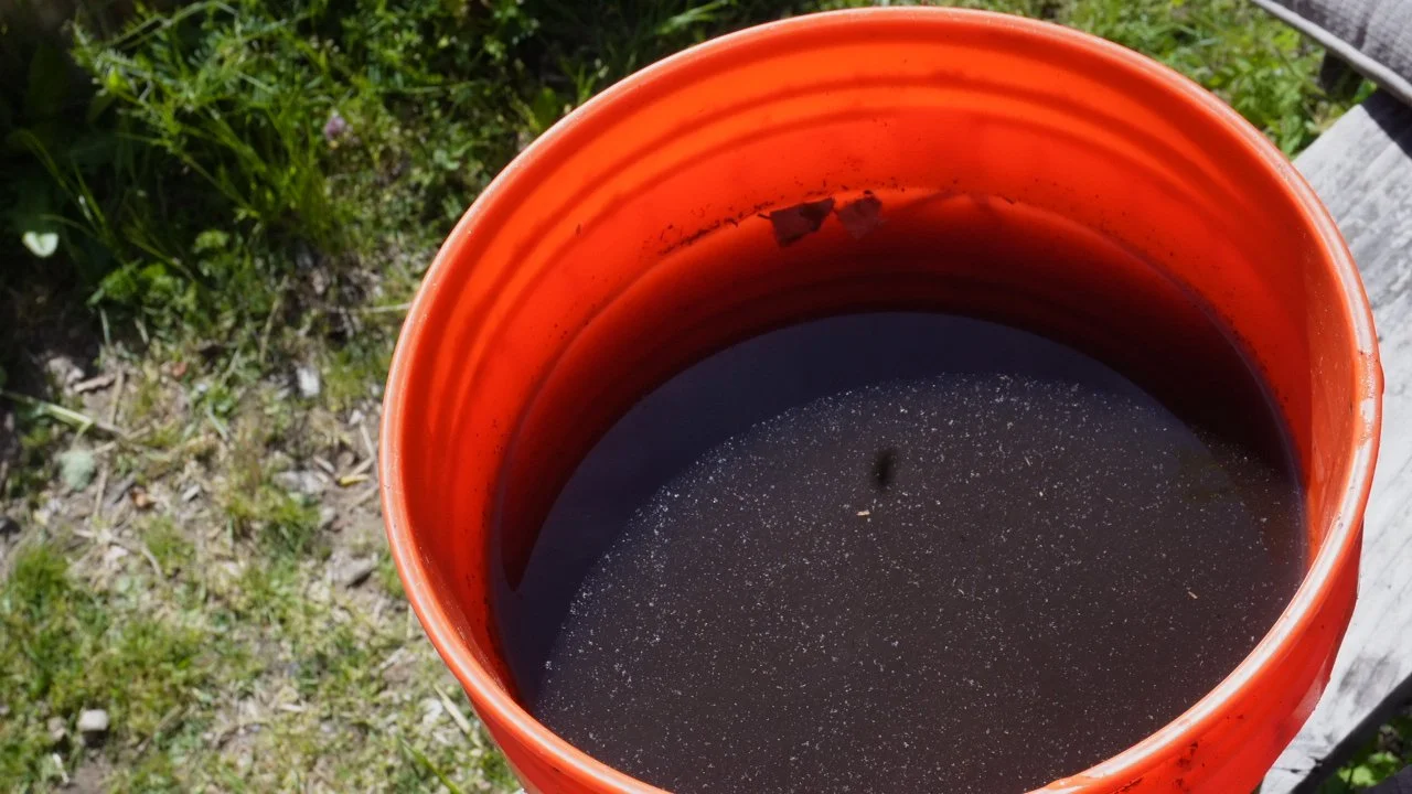 Extract in a bucket.JPG