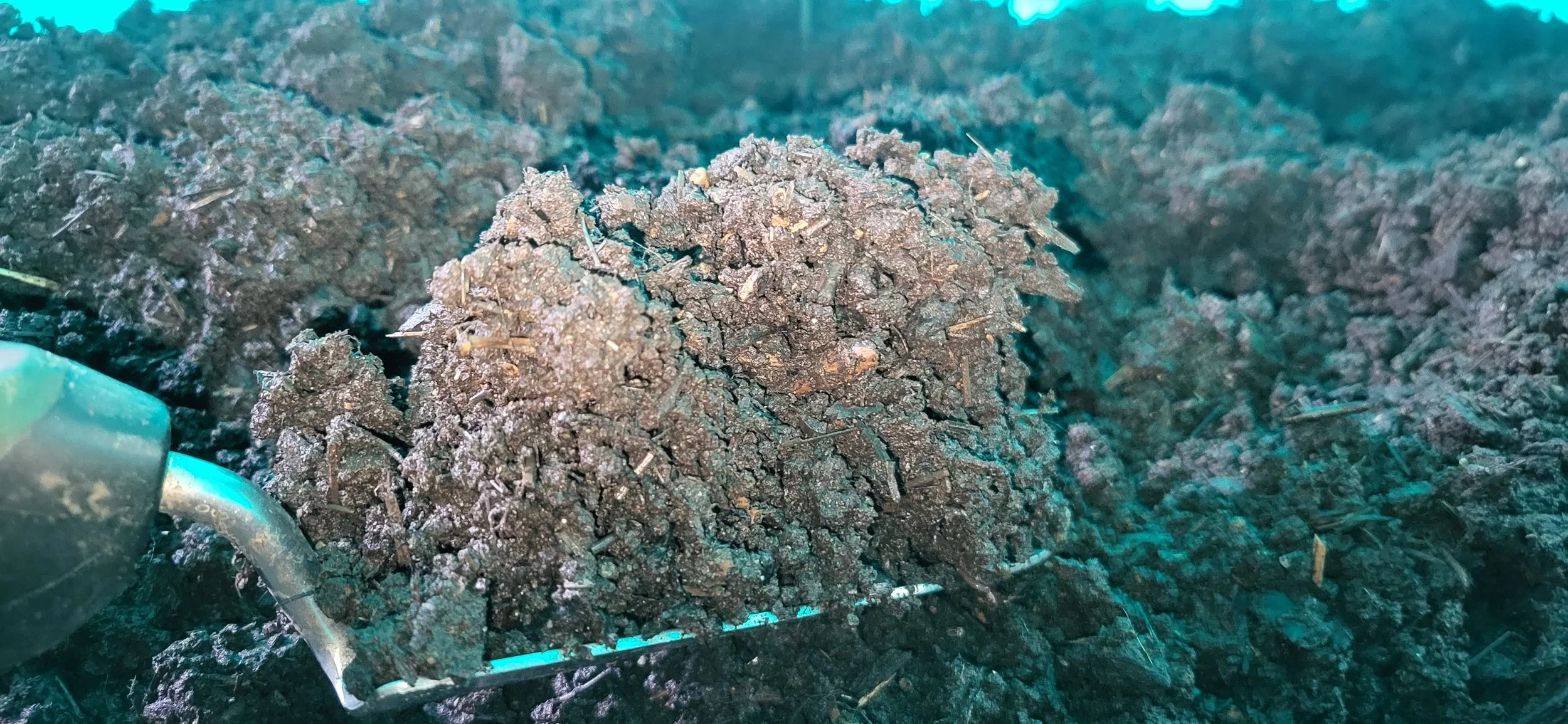 Xavier's Premium Living Compost ~ 5 lbs.