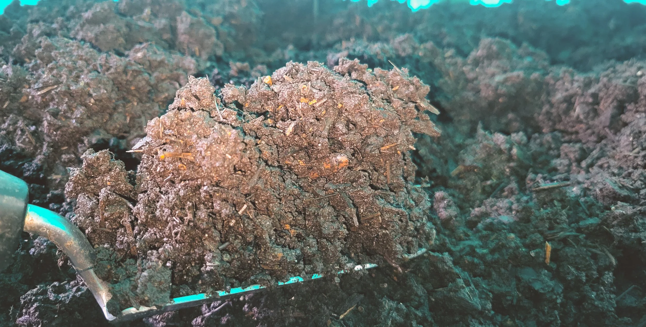 Xavier's Premium Living Compost ~ 5 lbs.