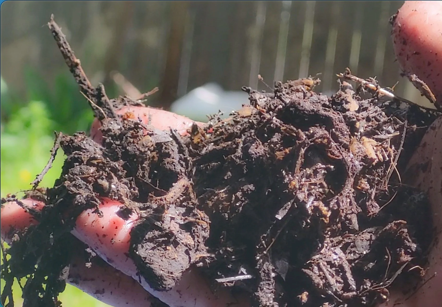 Juanita handful 2025.jpg (Copy)