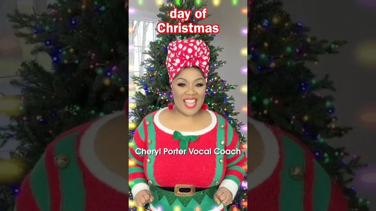 12 Days of Singer Christmas