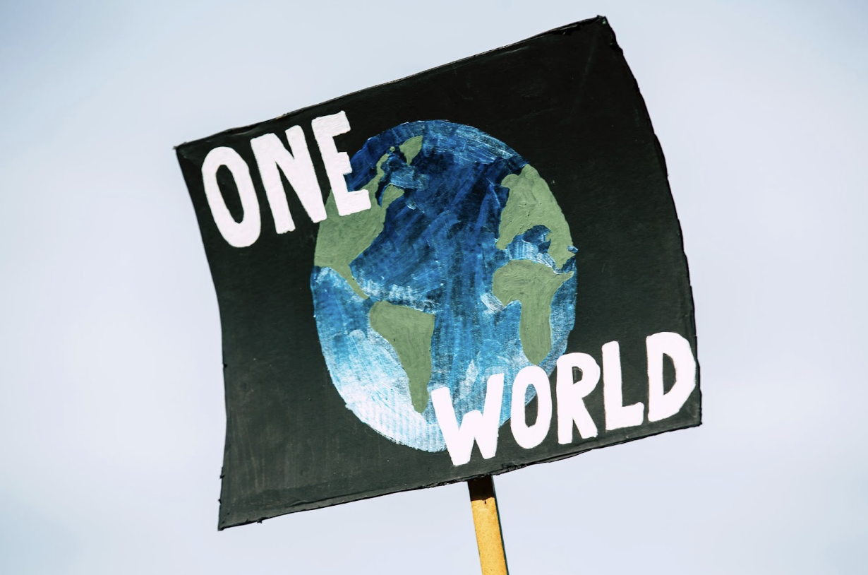Essential Green Terms for Businesses to Know