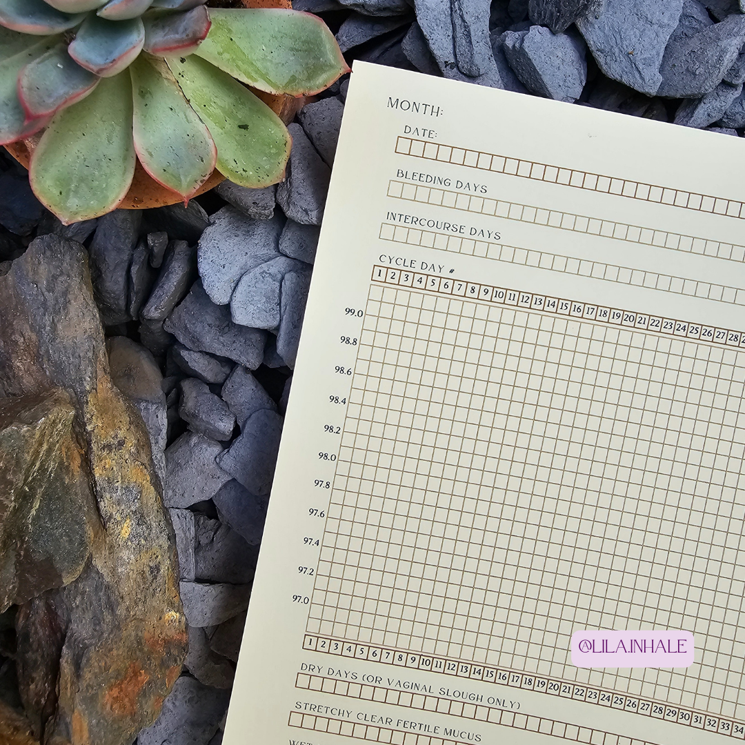 Fertility Tracker PDF