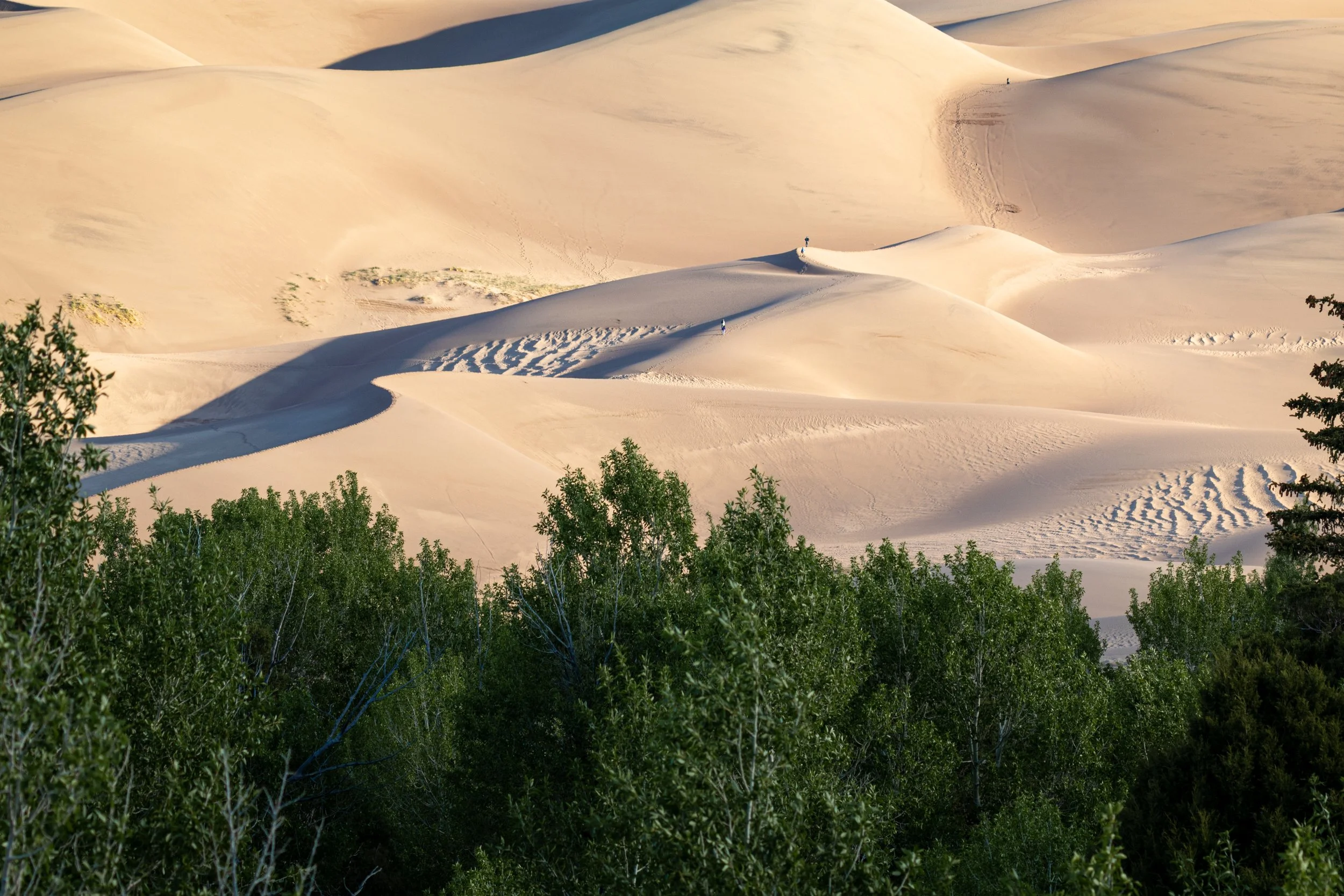 GREAT SAND DUNES — DUNE 
CONVERGENCE