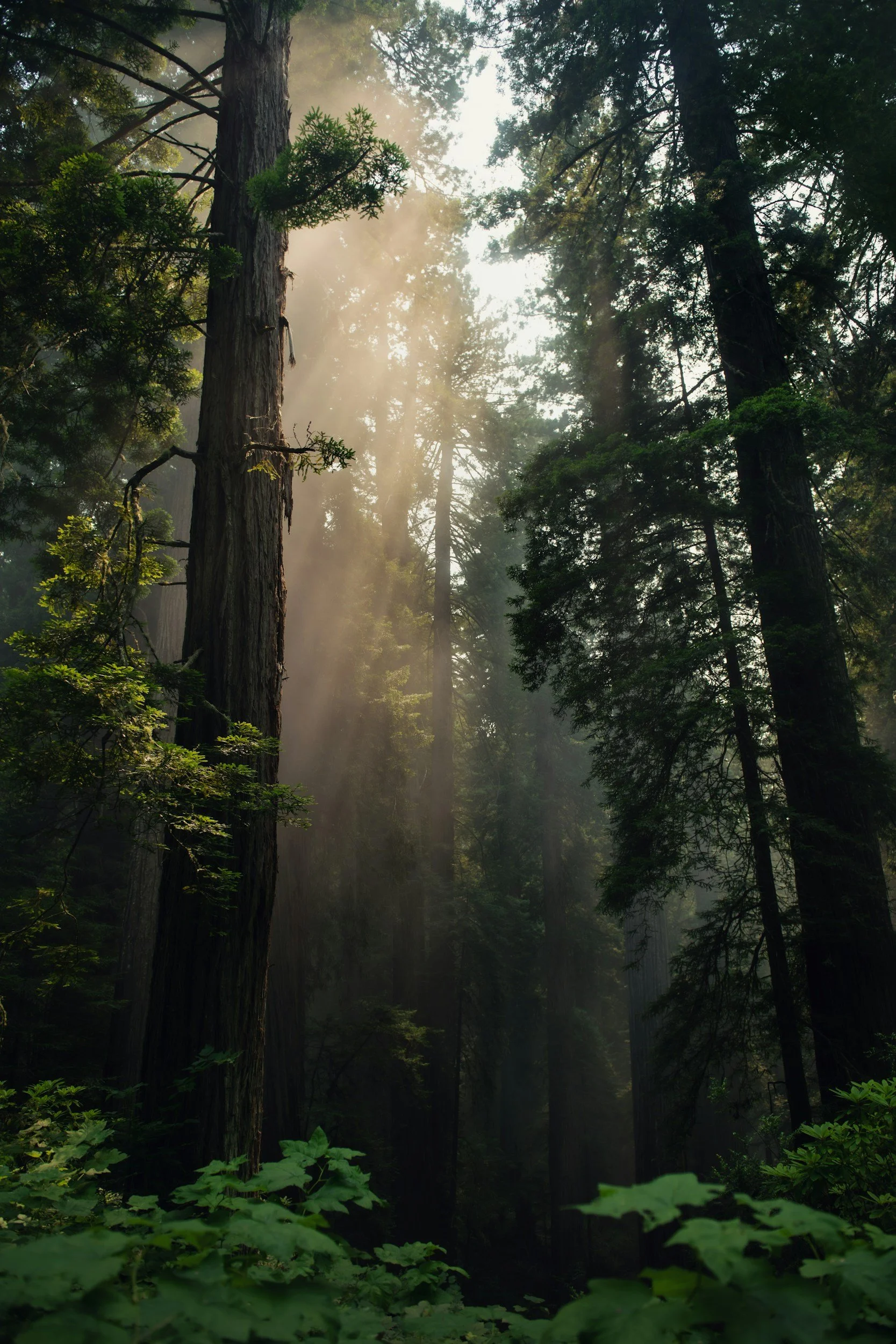 unsplash-image-KW8yCmtQPvs.jpg