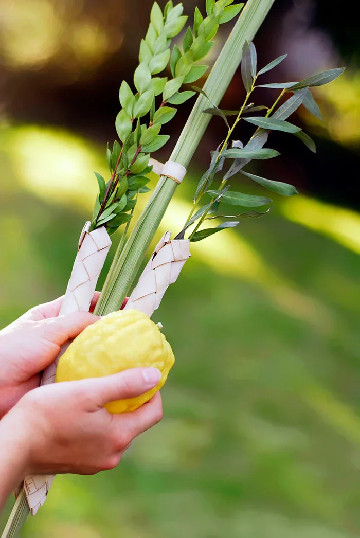 Sukkot