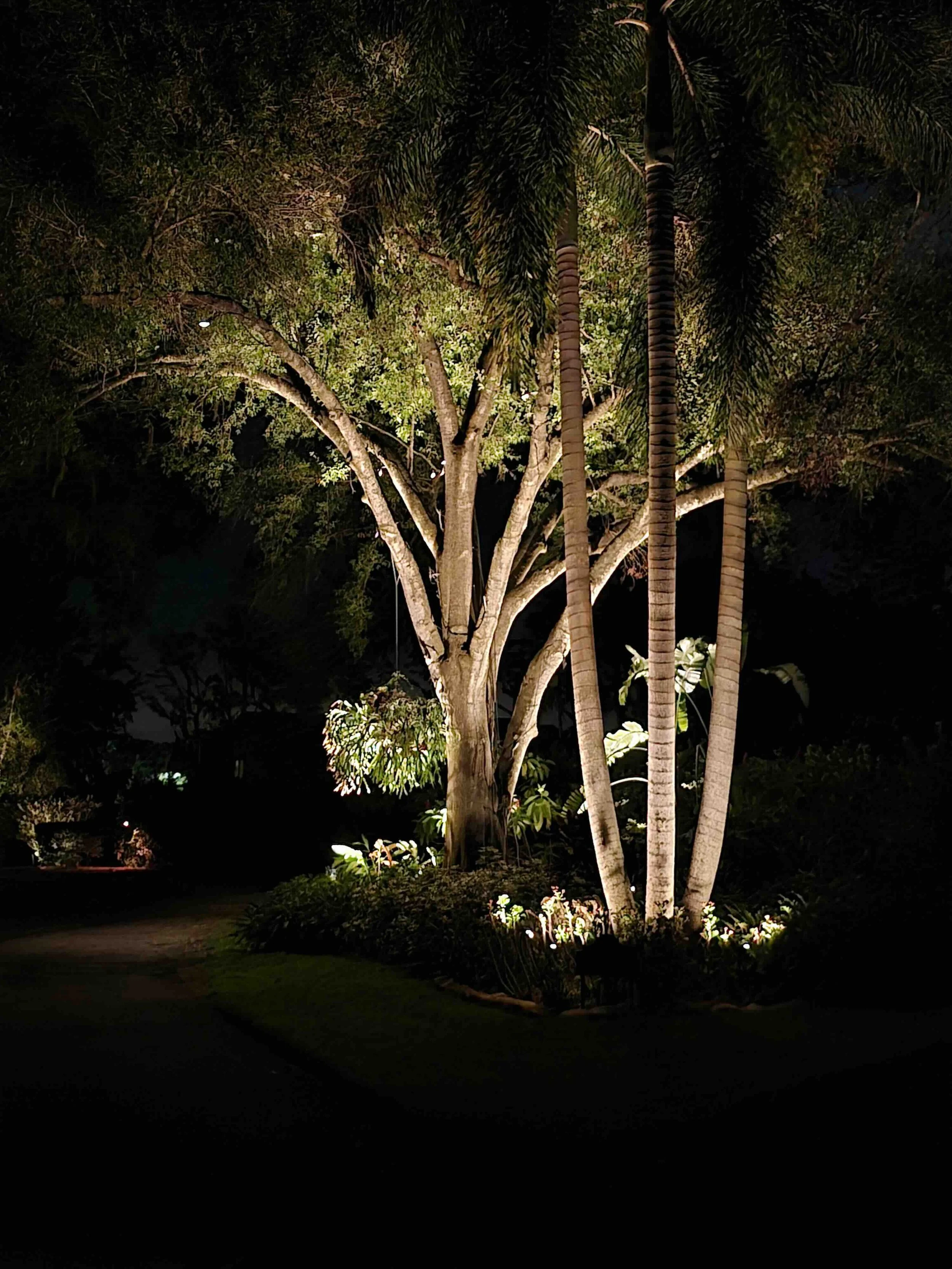 outdoor lighting tampa