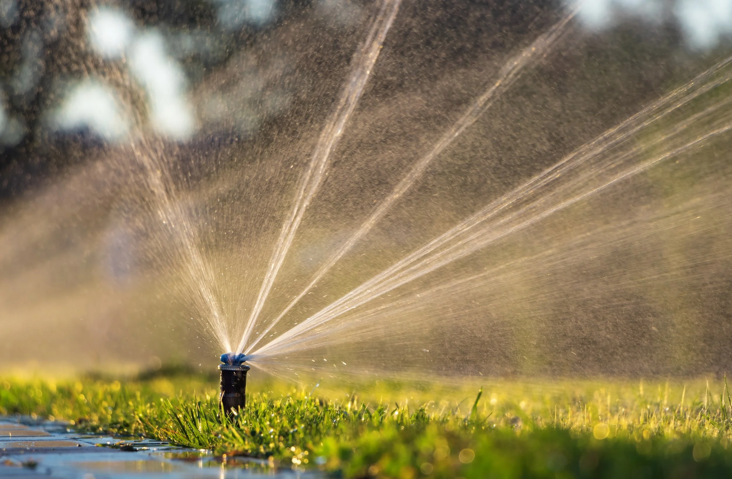running sprinkler, irrigation system upgrades tampa