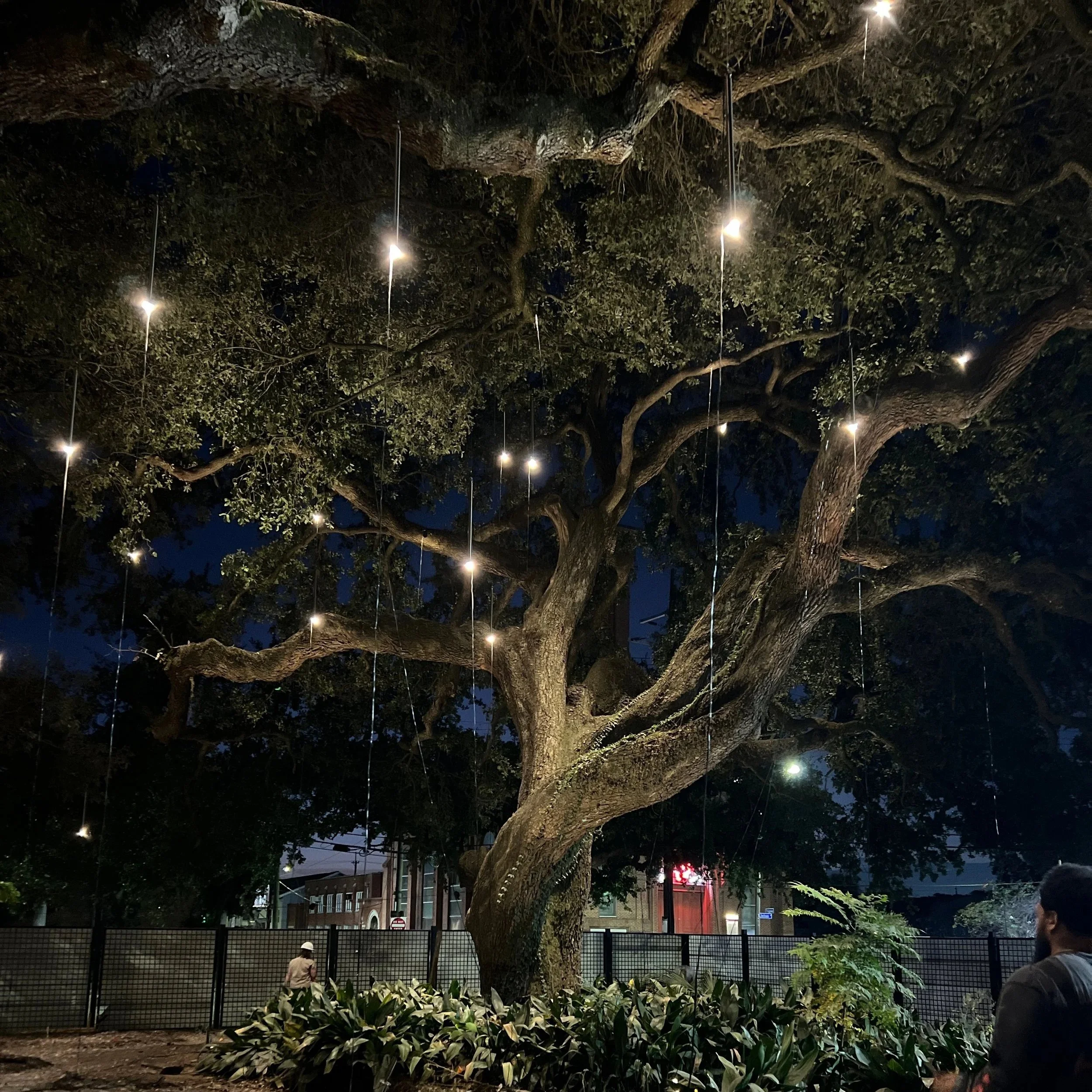 moonlighting example with a tree fixed with decorative lighting