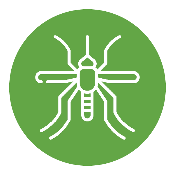 green decorative icon