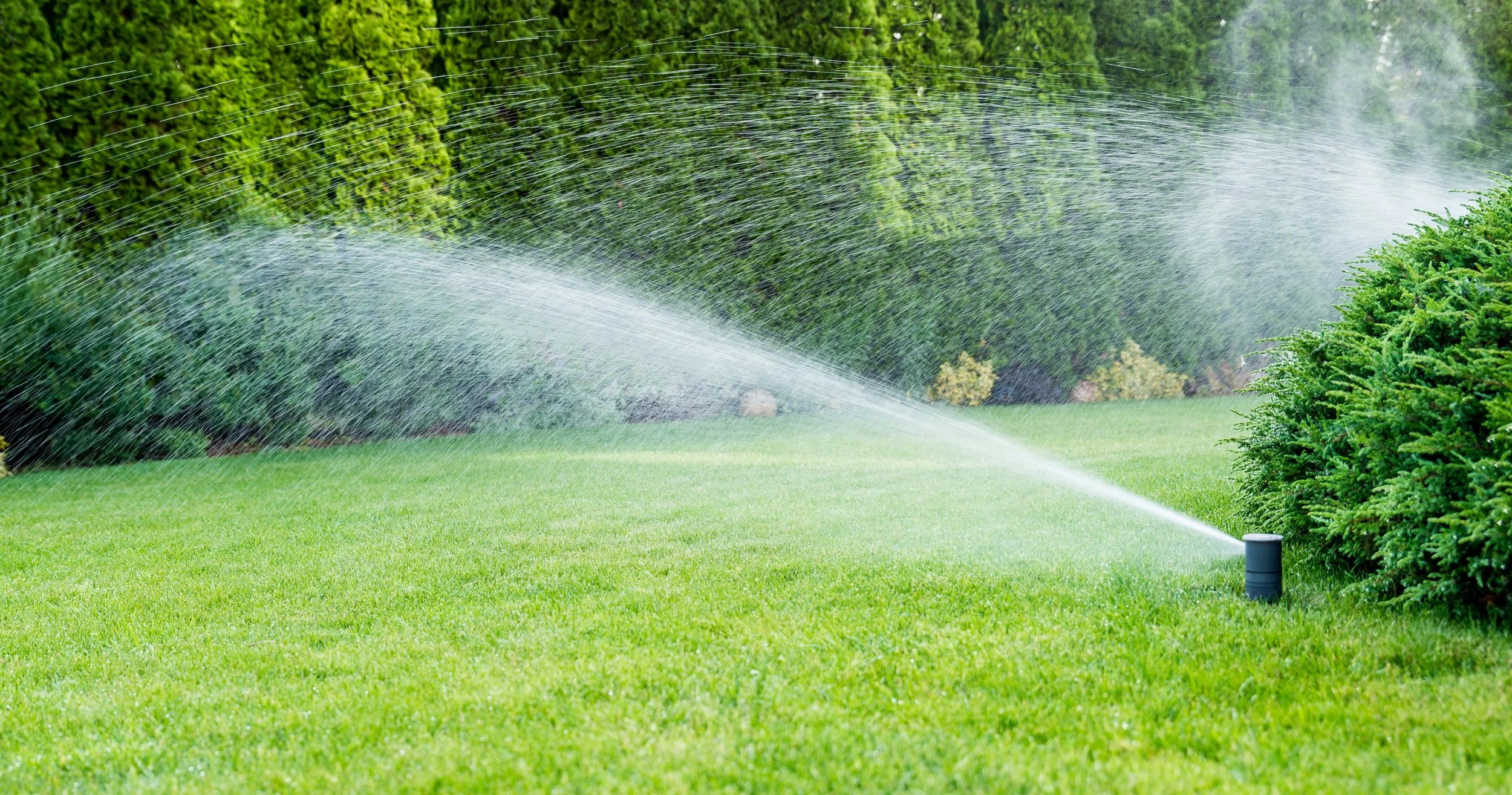 sprinklers running in a yard, irrigation system upgrades, irrigation system upgrades tampa