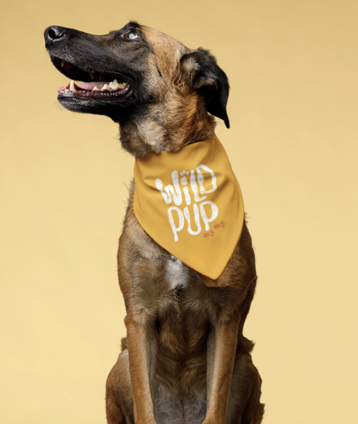 Screenshot 2026-04-02 at 8.33.42 PM.png