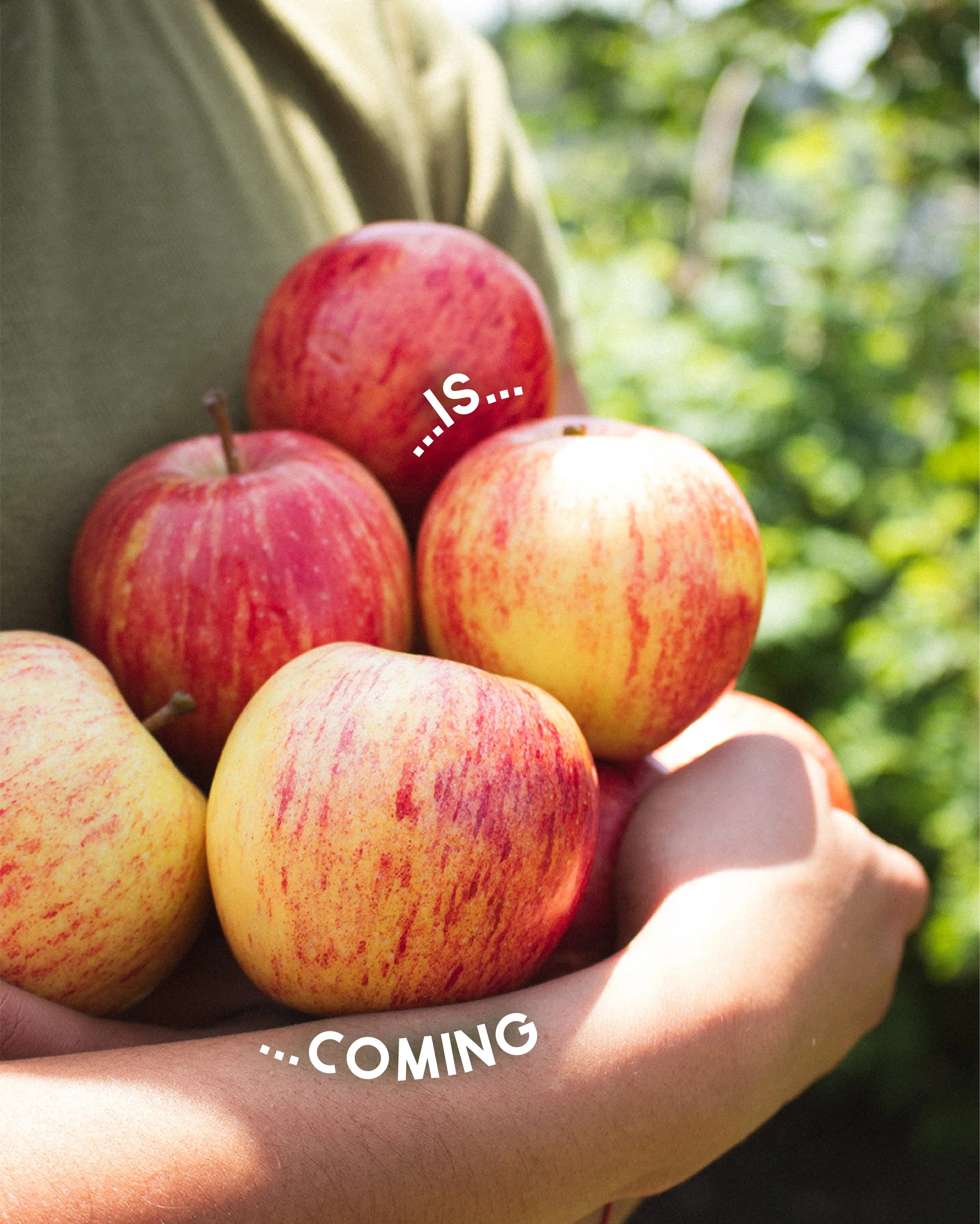 Is coming.jpg