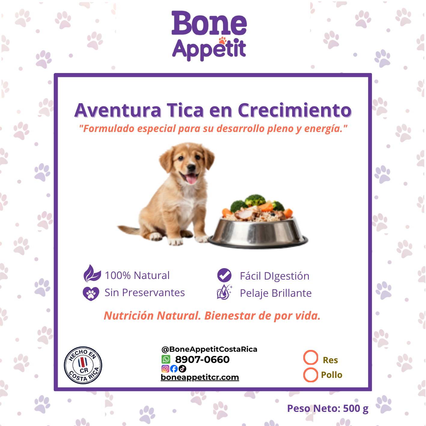 Aventura Tica en Crecimiento