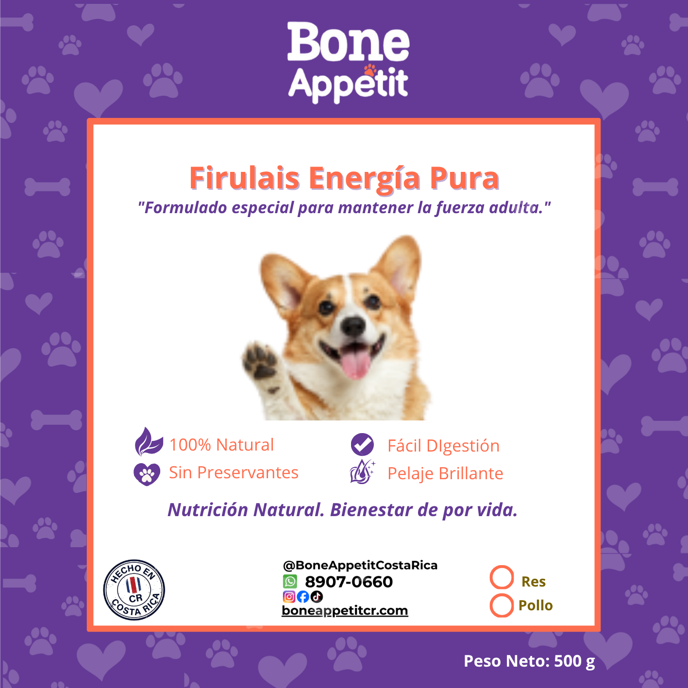 Firulais: Energía Pura