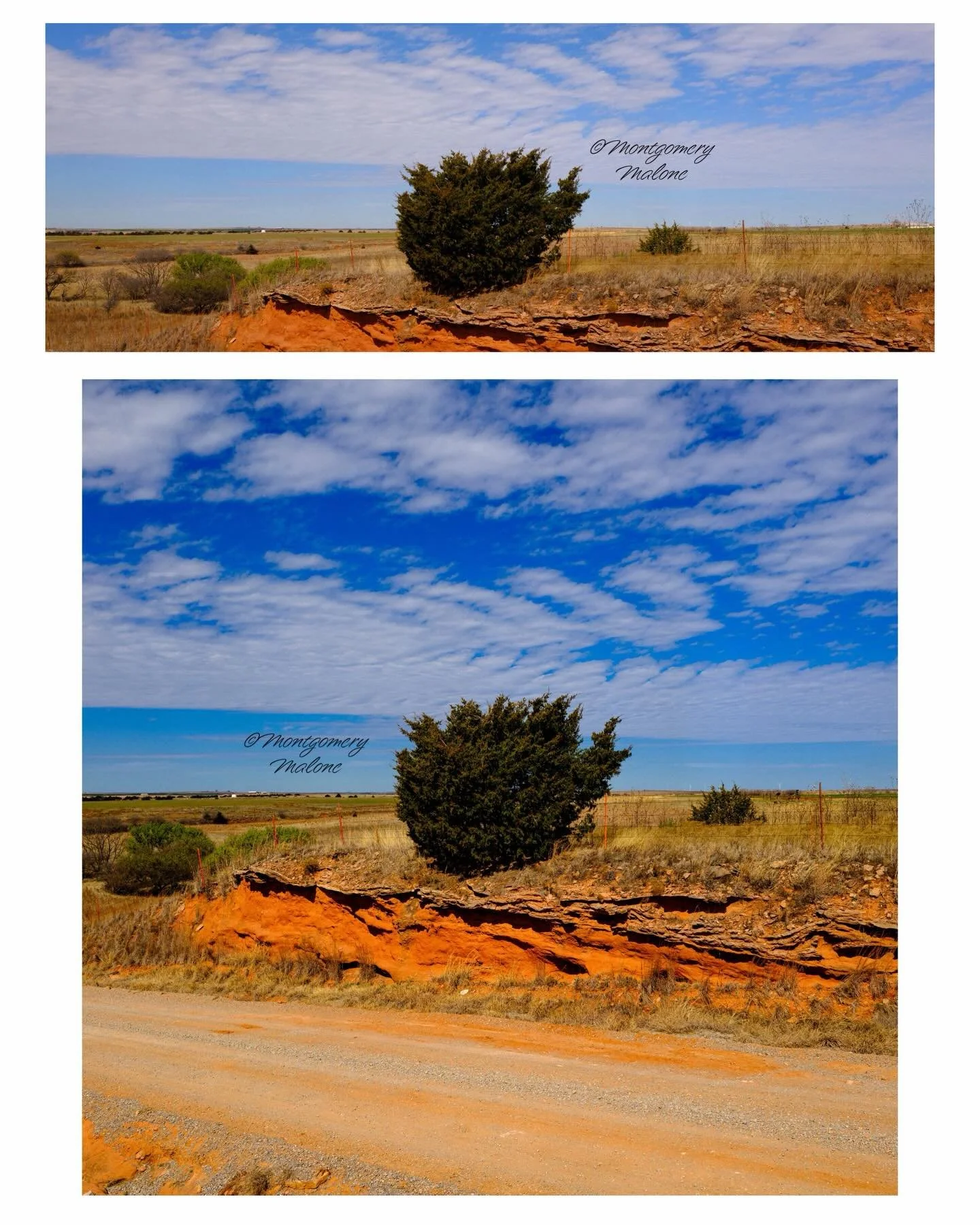 Grabbed a few shots over the weekend, super happy with how they turned out! Got these on the Fuji GFX 100 RF! #fujifilm #GFX100RF #localphotographer