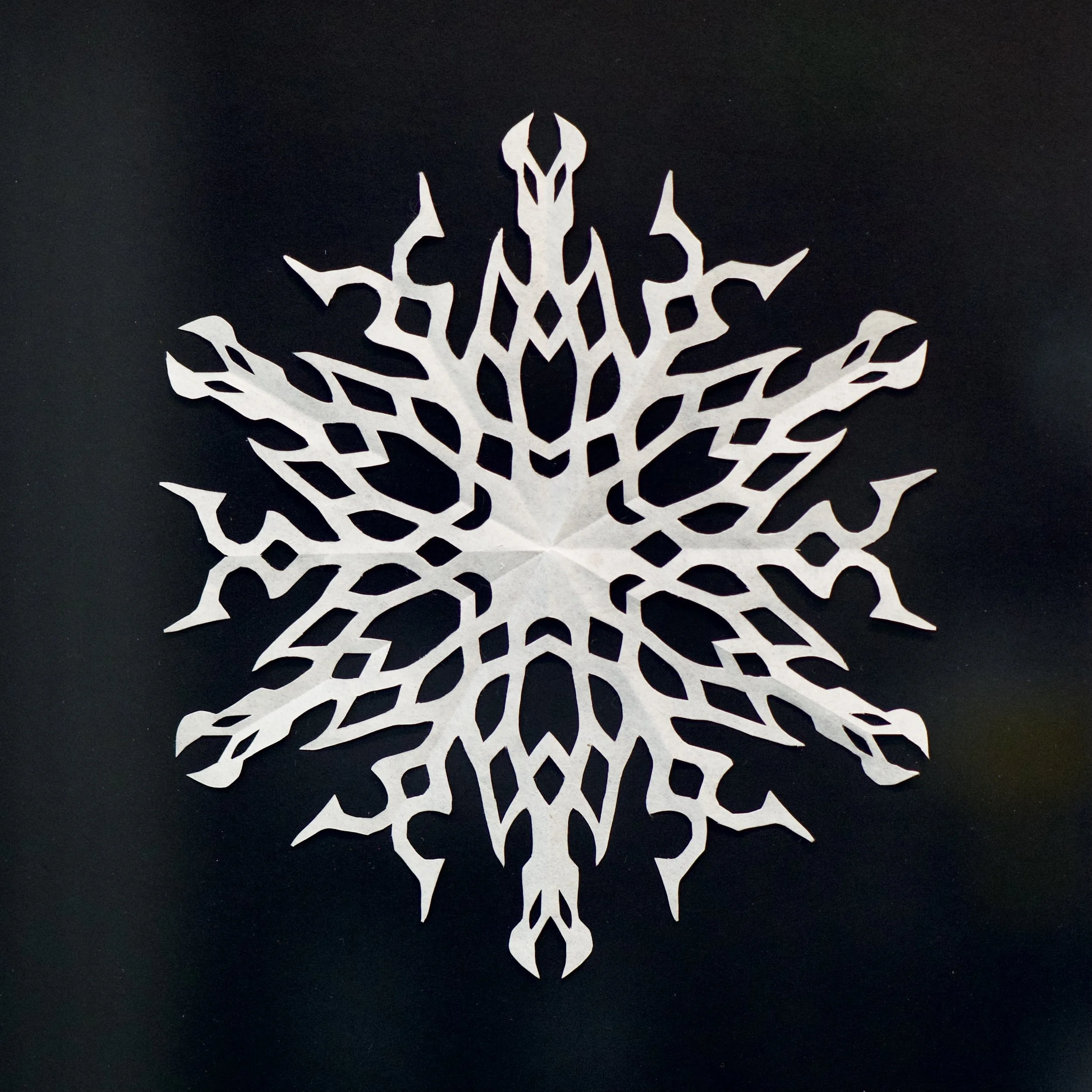Skull Snow - 2020,
9x9 inches,
kozo paper