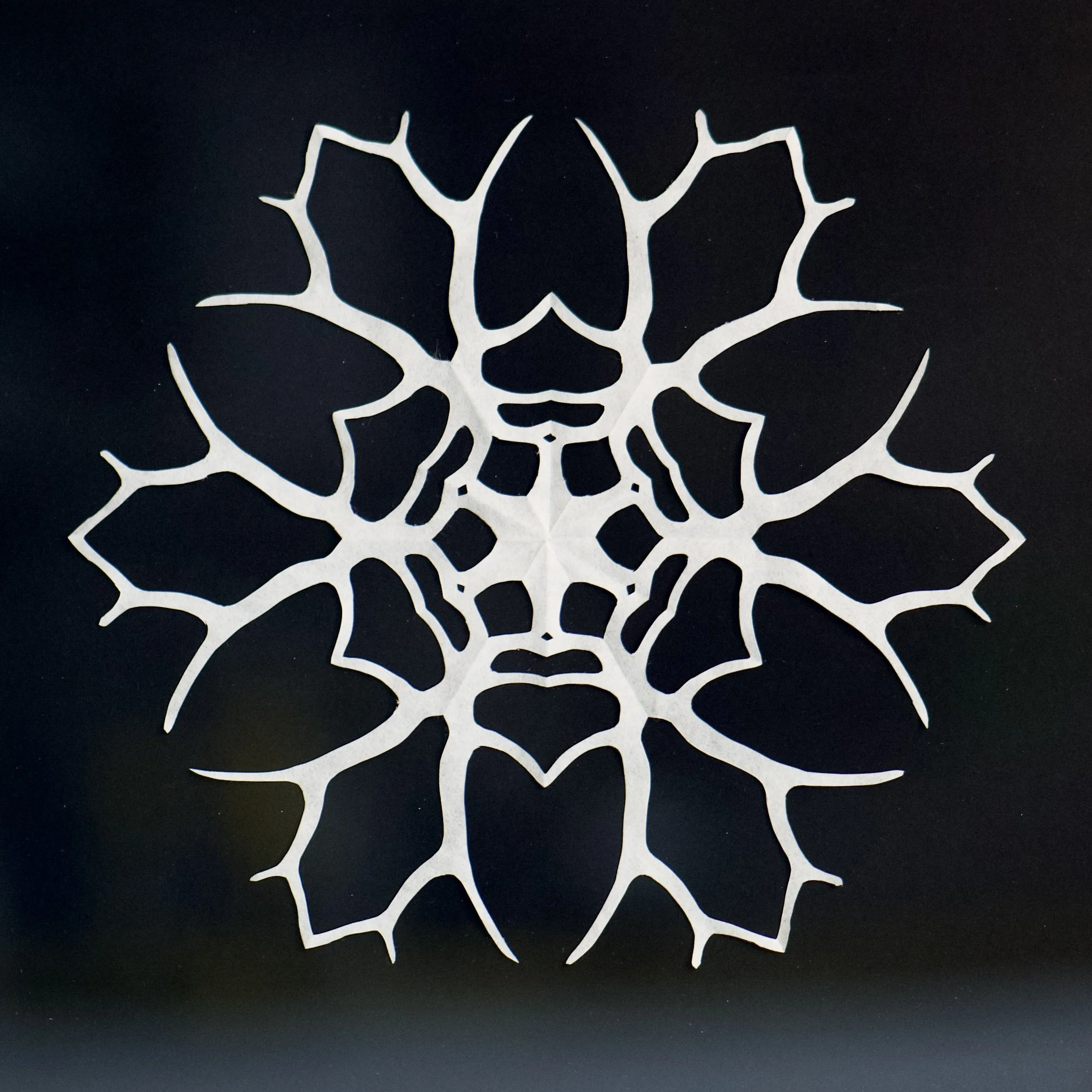 Antler Snow - 2020,
9x9 inches,
kozo paper