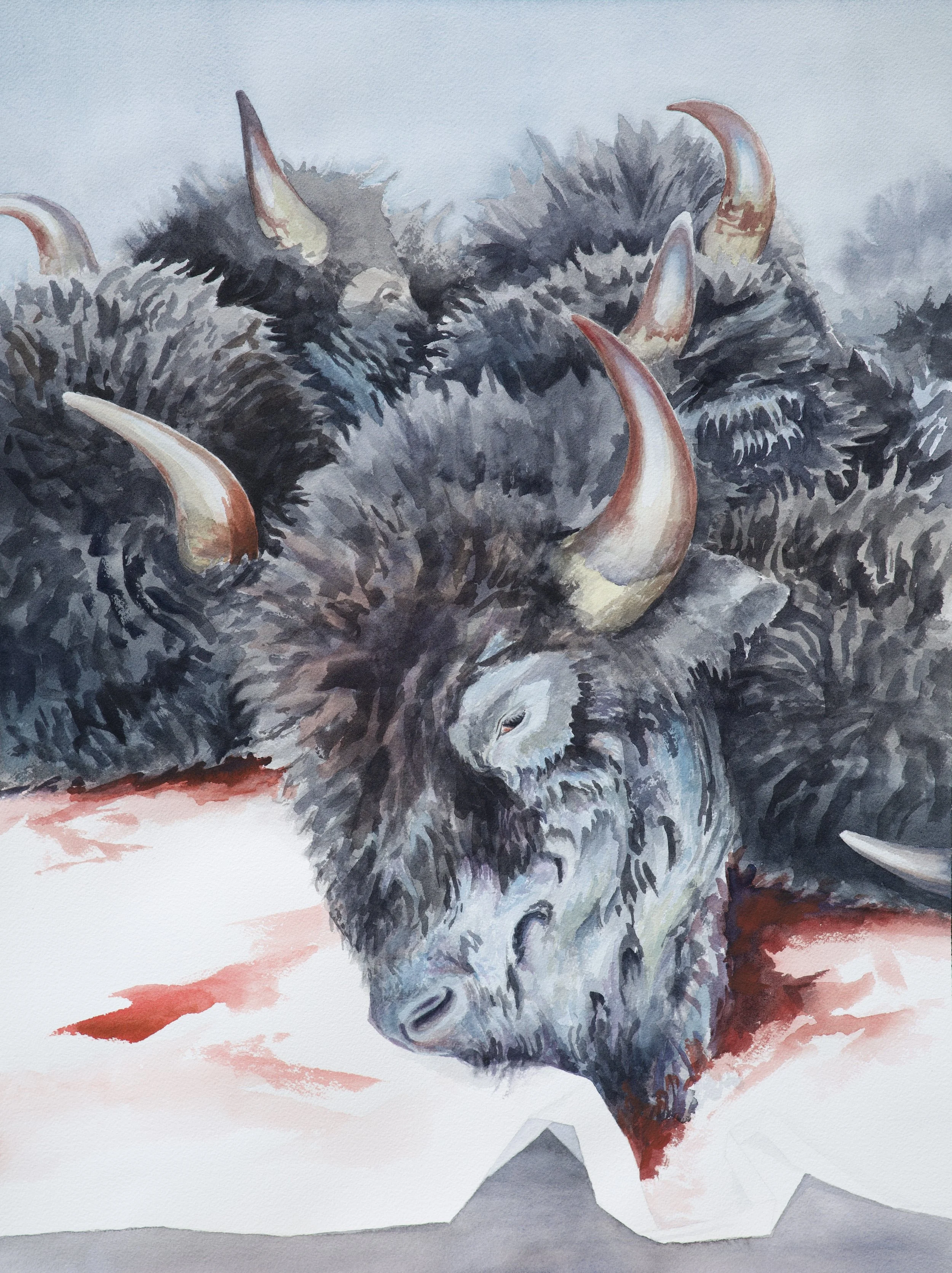 Bison Heads - 2025,
18x24 inches,
watercolor