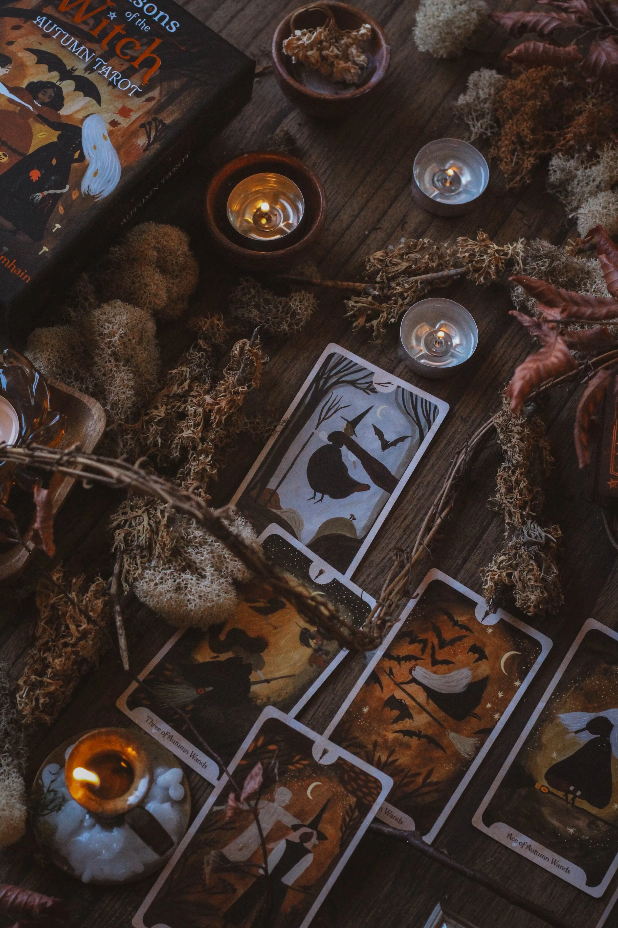 Various orange cards - Autumn Tarot - 07092026 - Spirit Element.3.jpg