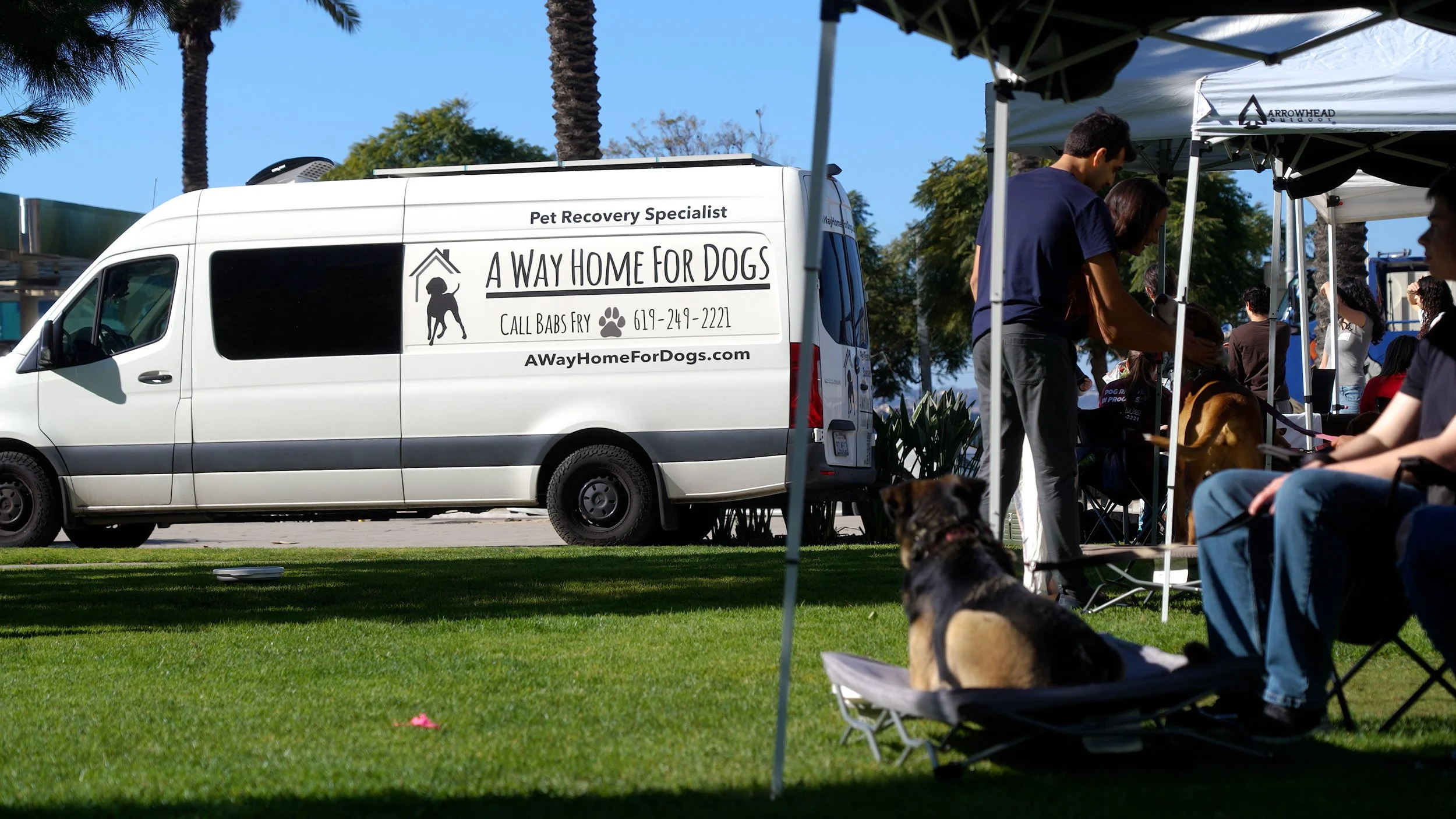 Case study: A Way Home For Dogs Brand Story Video