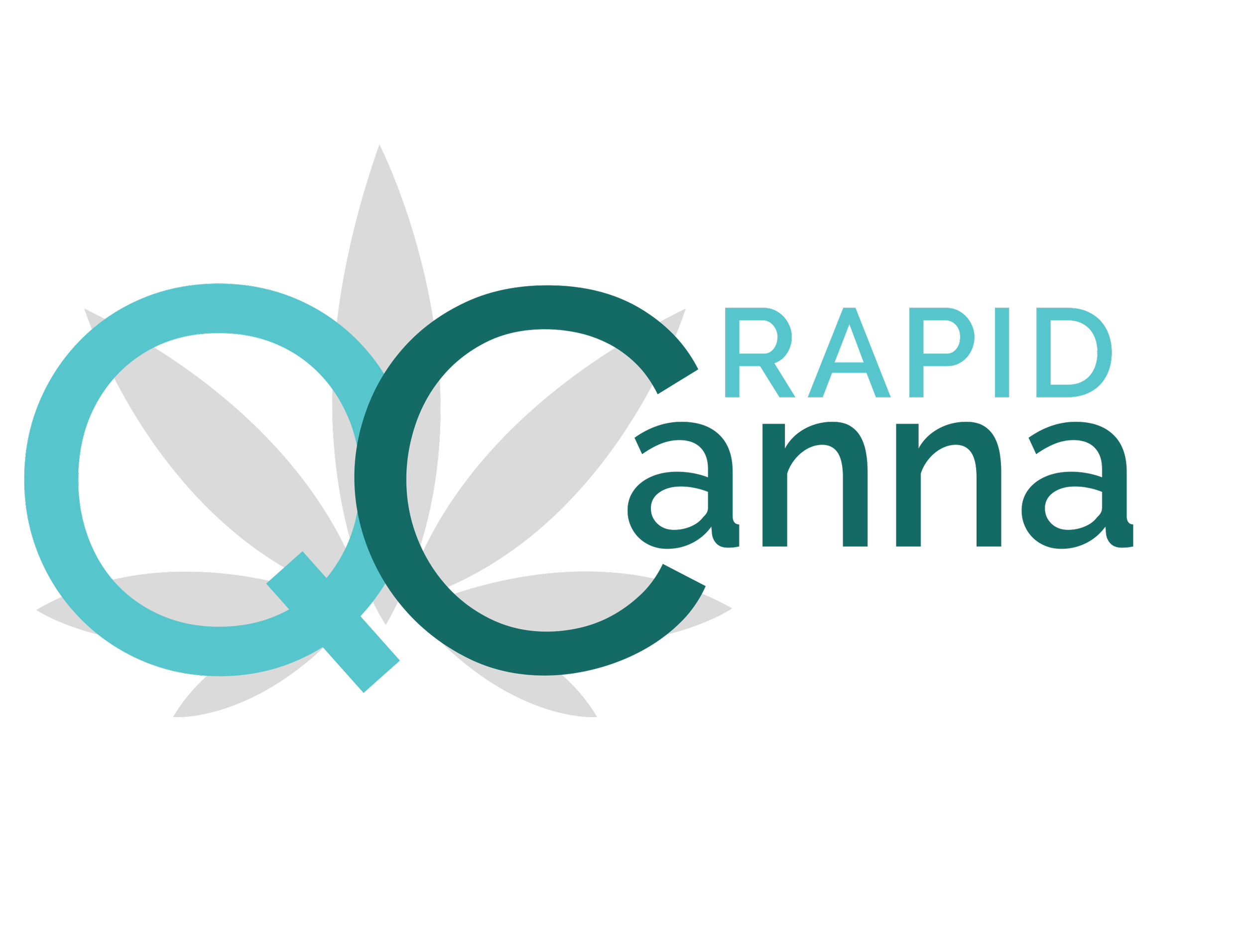 Logo with large overlapping blue and teal circles, stylized gray flower behind, and the words "RAPID CCANA" in turquoise and red text