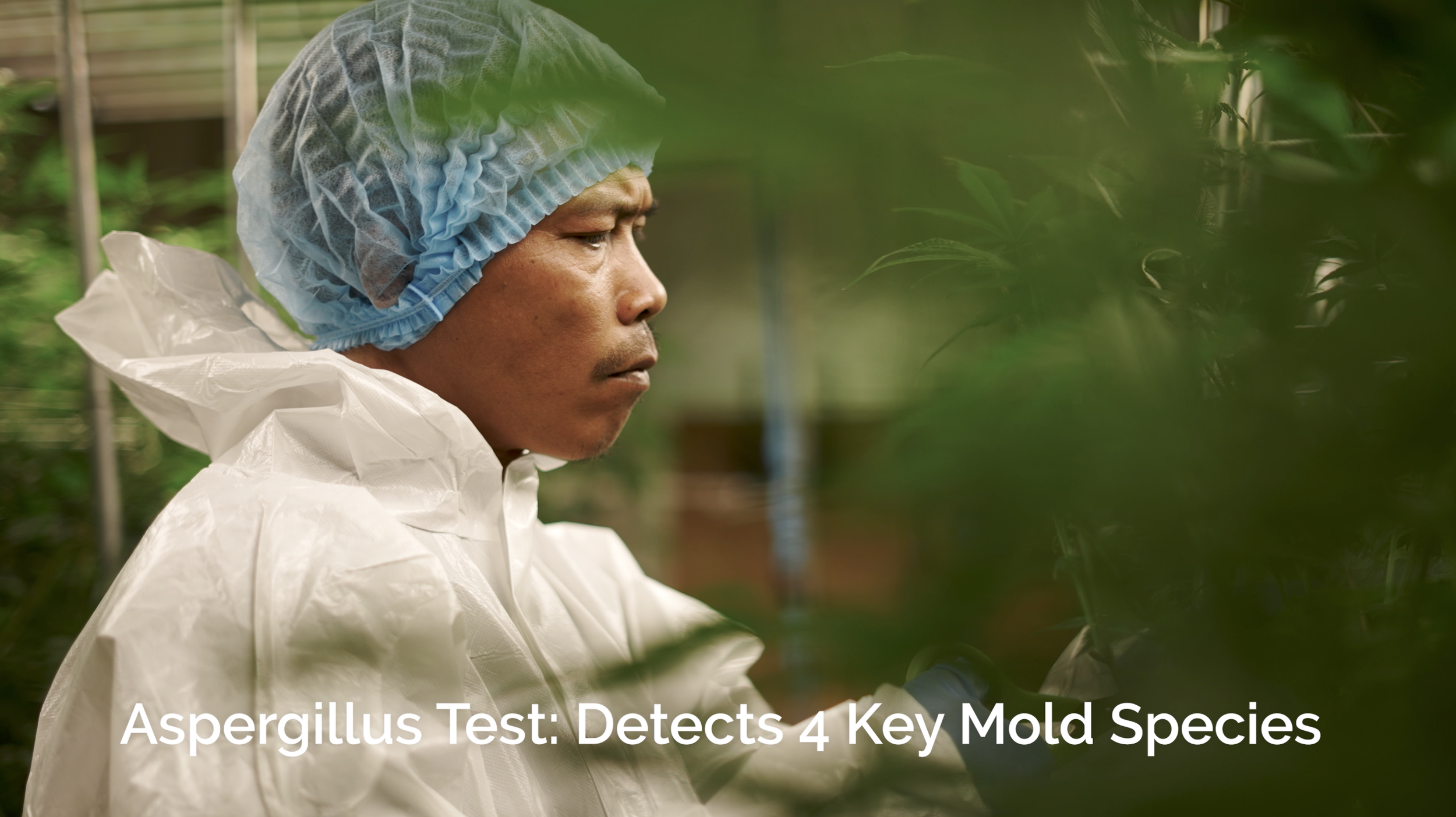 Screenshot 2025-11-26 at 4.45.57 PM.png