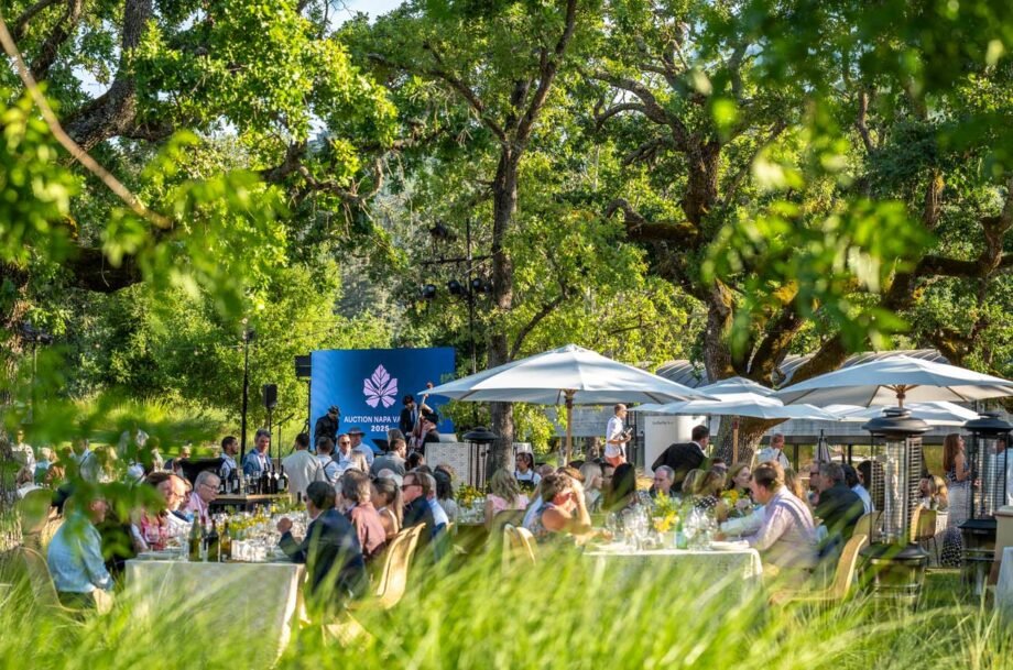 'Napa Valley auction raises $6.5m for local youth projects'