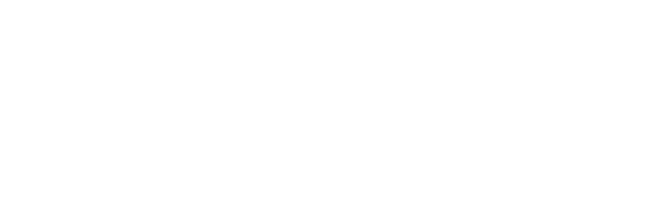 Make-A-Wish Foundation logo with text and a shooting star.