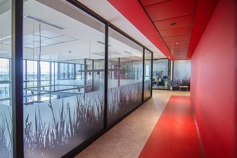 Hela segundo piso.jpg