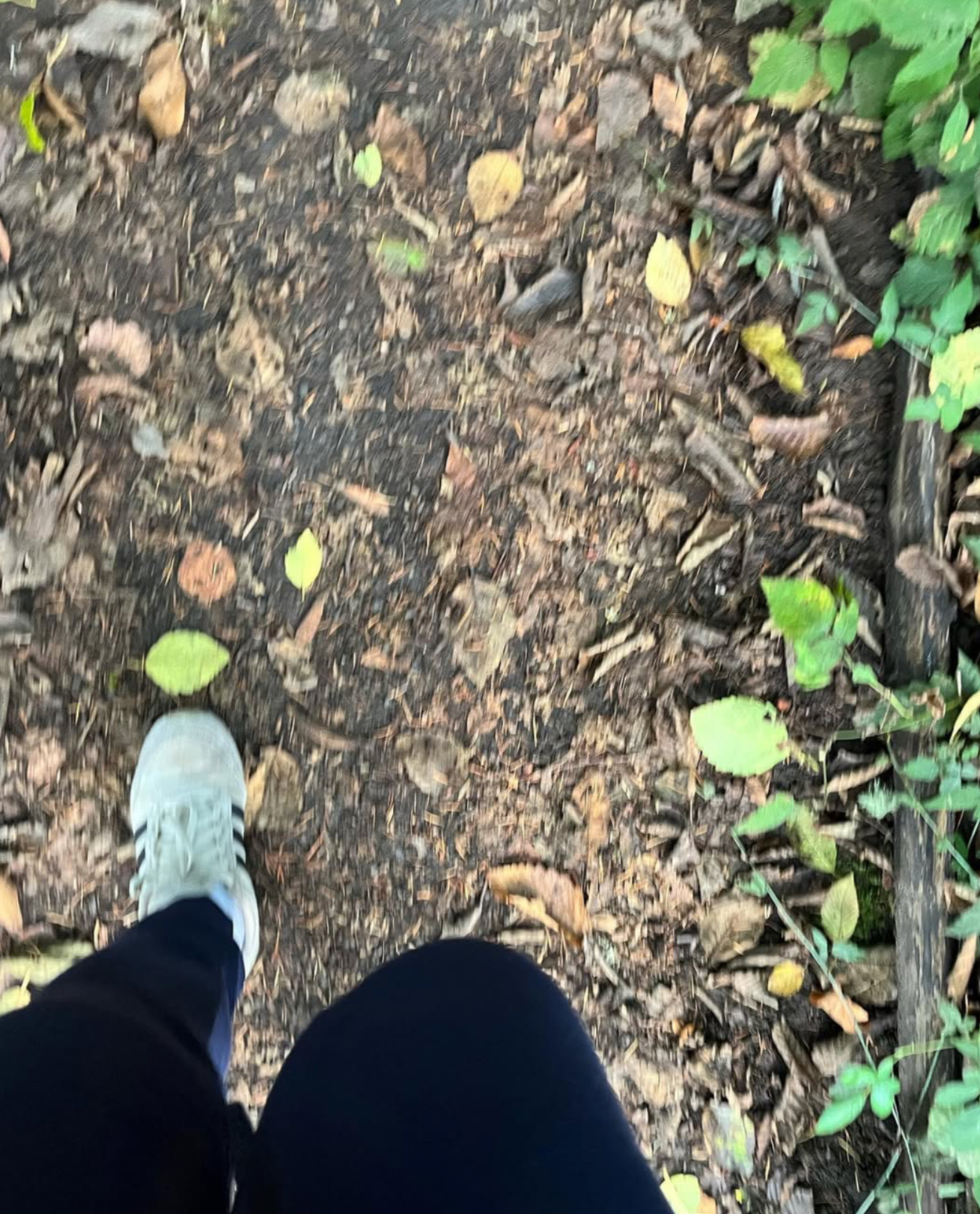 Thoughts, Emotions and Body Sensations