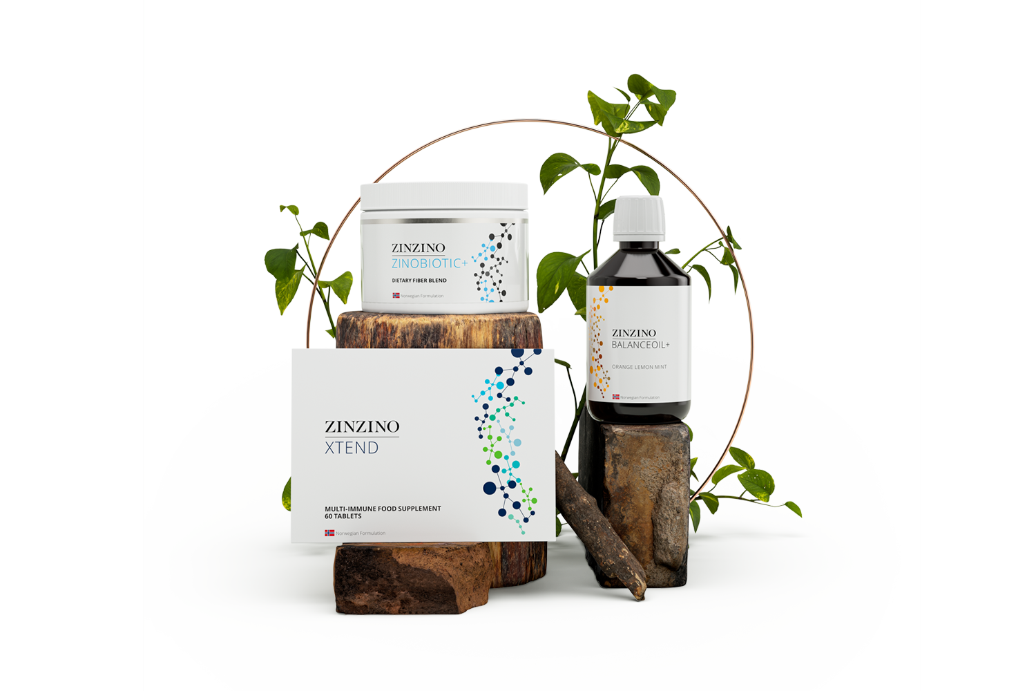 Holistic health produkter, inklusive Zinzino XTEND kosttillskott i vit förpackning, balansolja i vit flaska med lock, och Zinzino ZinoBiotic i vit burk, arrangerade bland stenar och gröna växter på en ljus bakgrund.