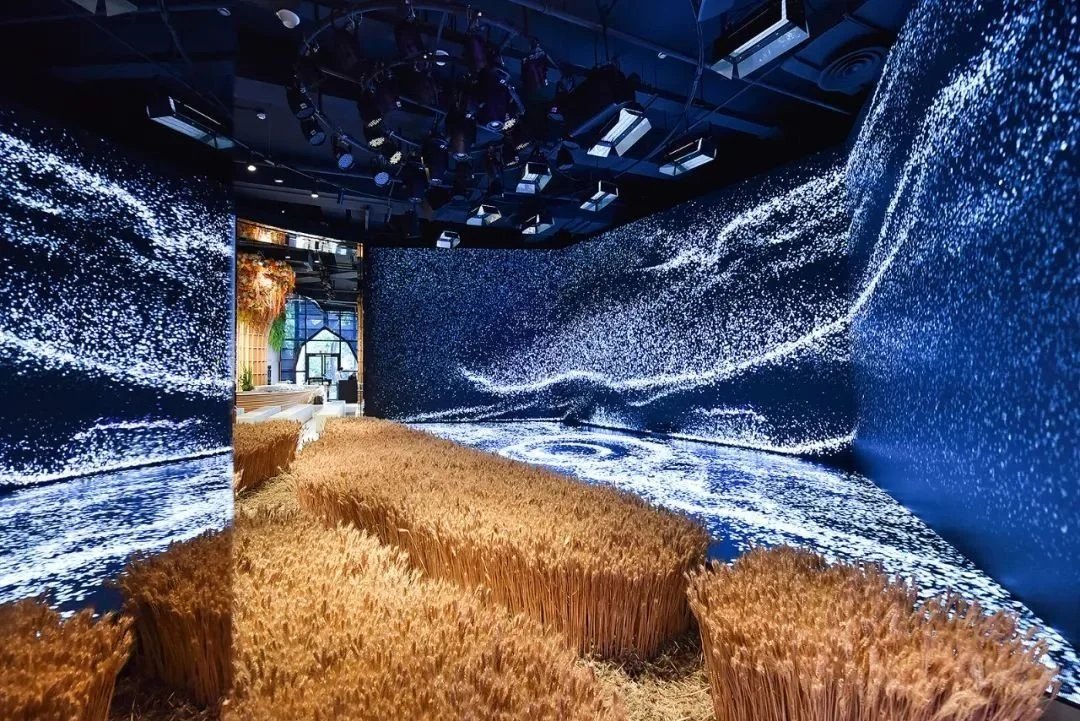 interactive museum experiences