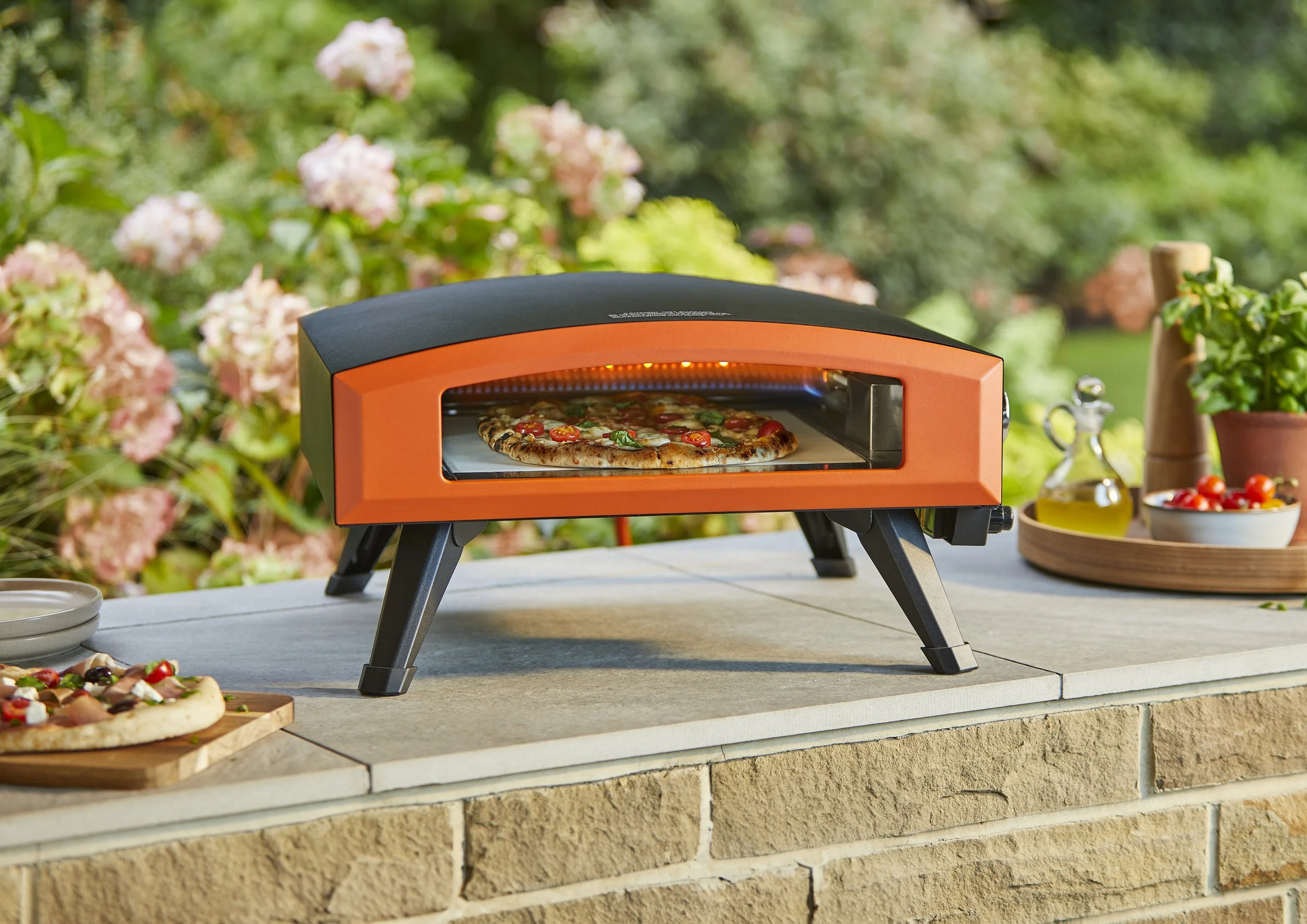 678946_Pizza oven with carry case.jpg
