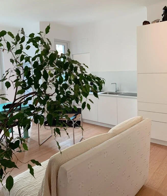 Soggiorno con grande pianta verde, divano beige, tavolo con sedie nere, cucina bianca con lavabo e armadietti, finestra sulla parete e oggetti sulla parte superiore dell'armadio.