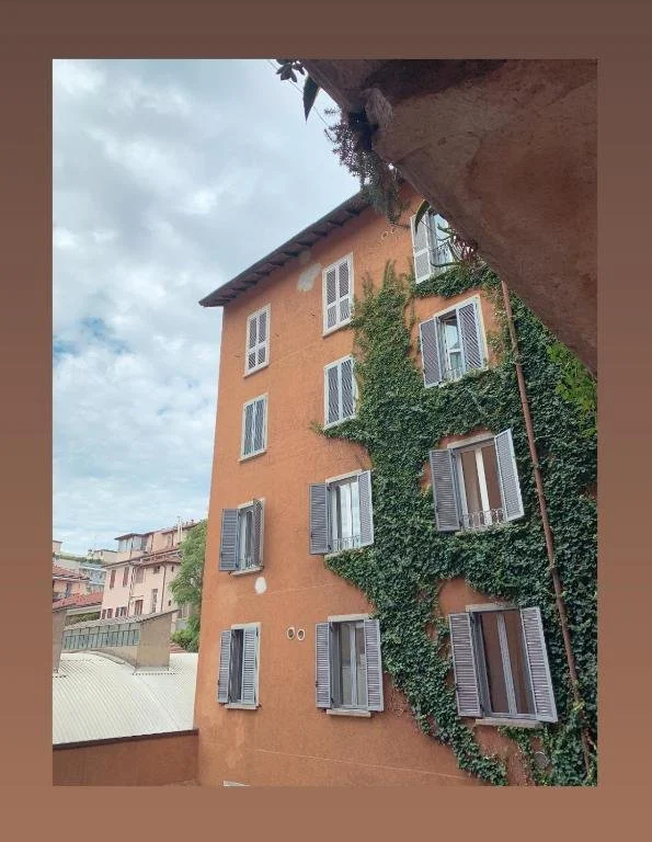 Palazzo con parete coperta da edera e finestre con persiane azzurre, vista di lato