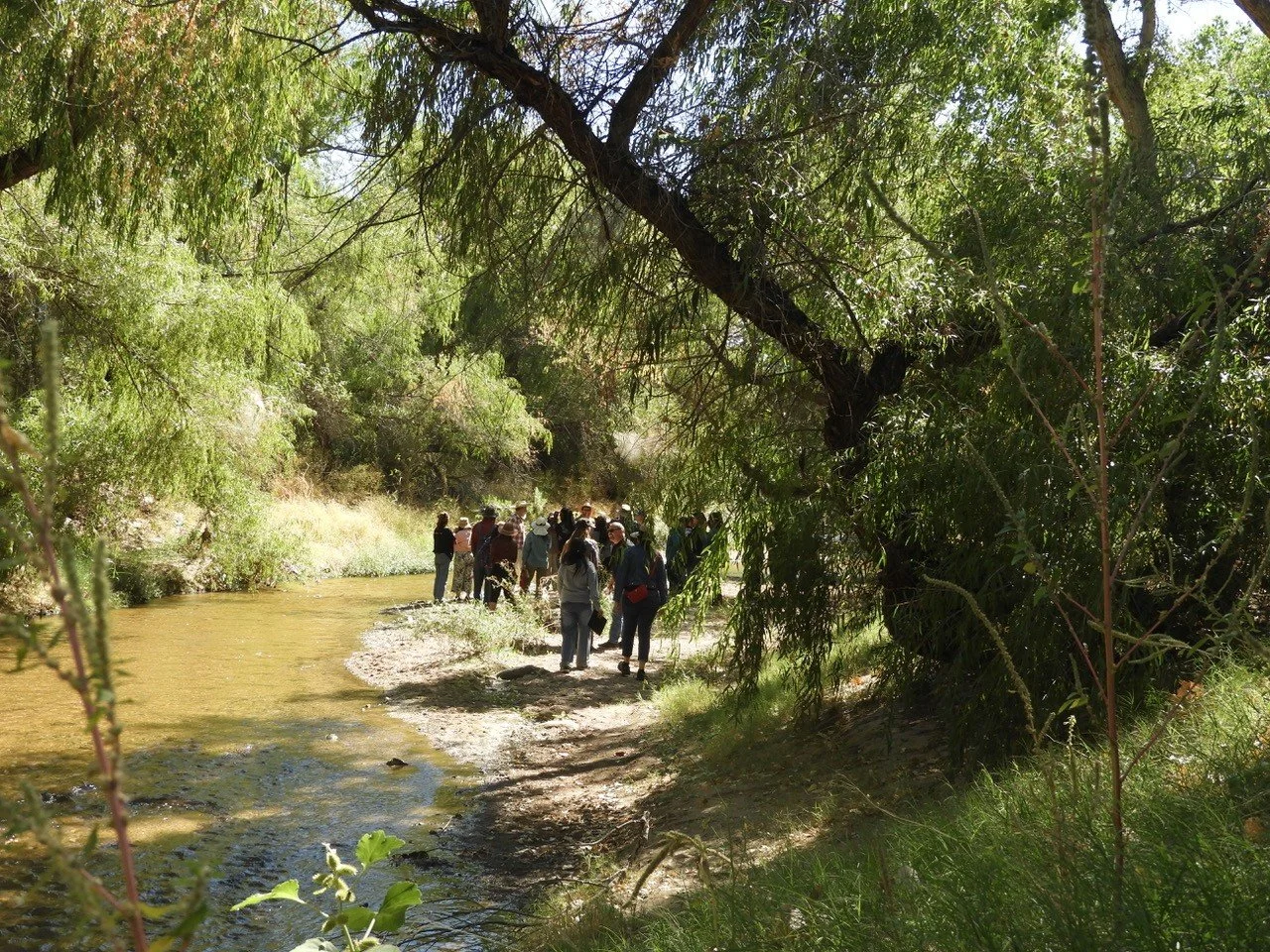 Arizona’s emerging water leaders: Looking toward the future