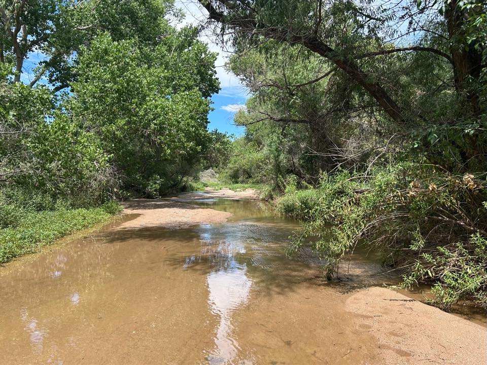 Social Media Post: Friends of the Santa Cruz River