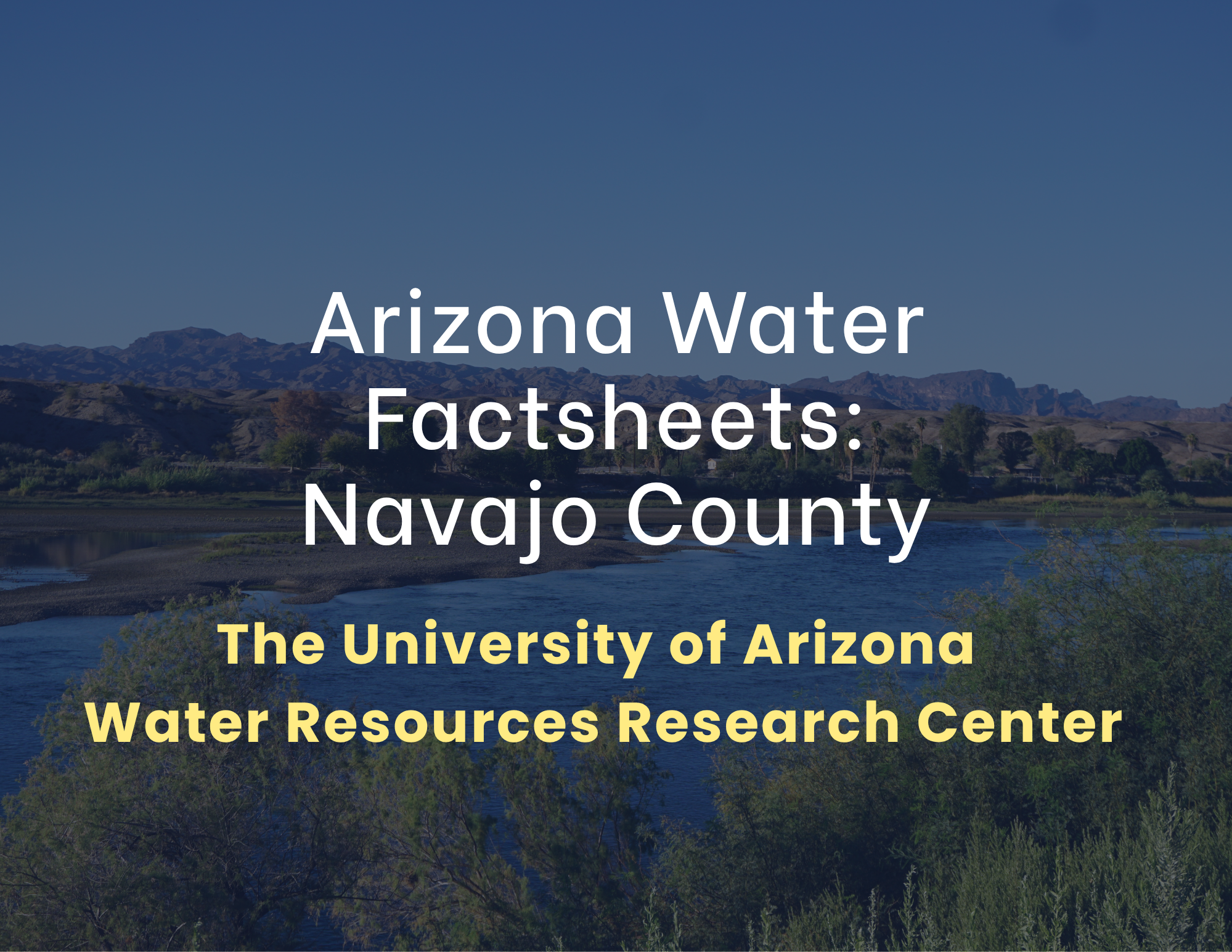 Arizona Fact Sheet (10).png