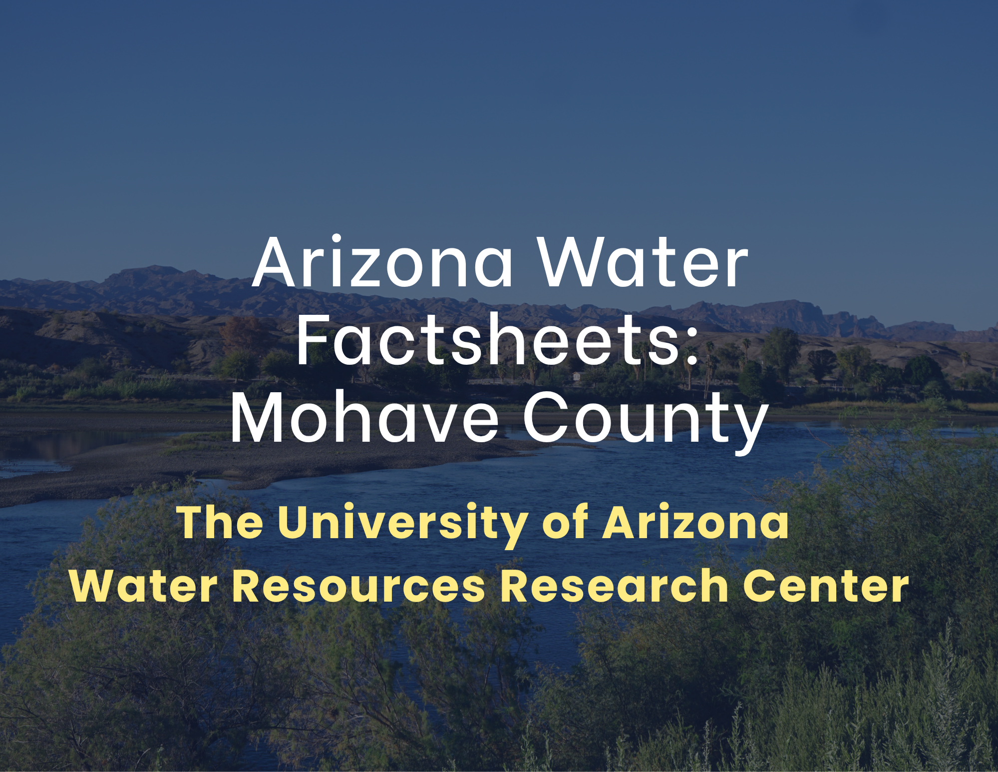 Arizona Fact Sheet (9).png