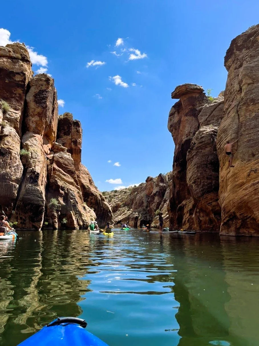 Shared Flow, Shared Path

Maria Jose Uribe Perez

2024 - Clear Creek, AZ

As our modern lives tend to pull us apart, water finds a way to bring us back together. In this photo, Clear Creek becomes a natural meeting point where we can come together on