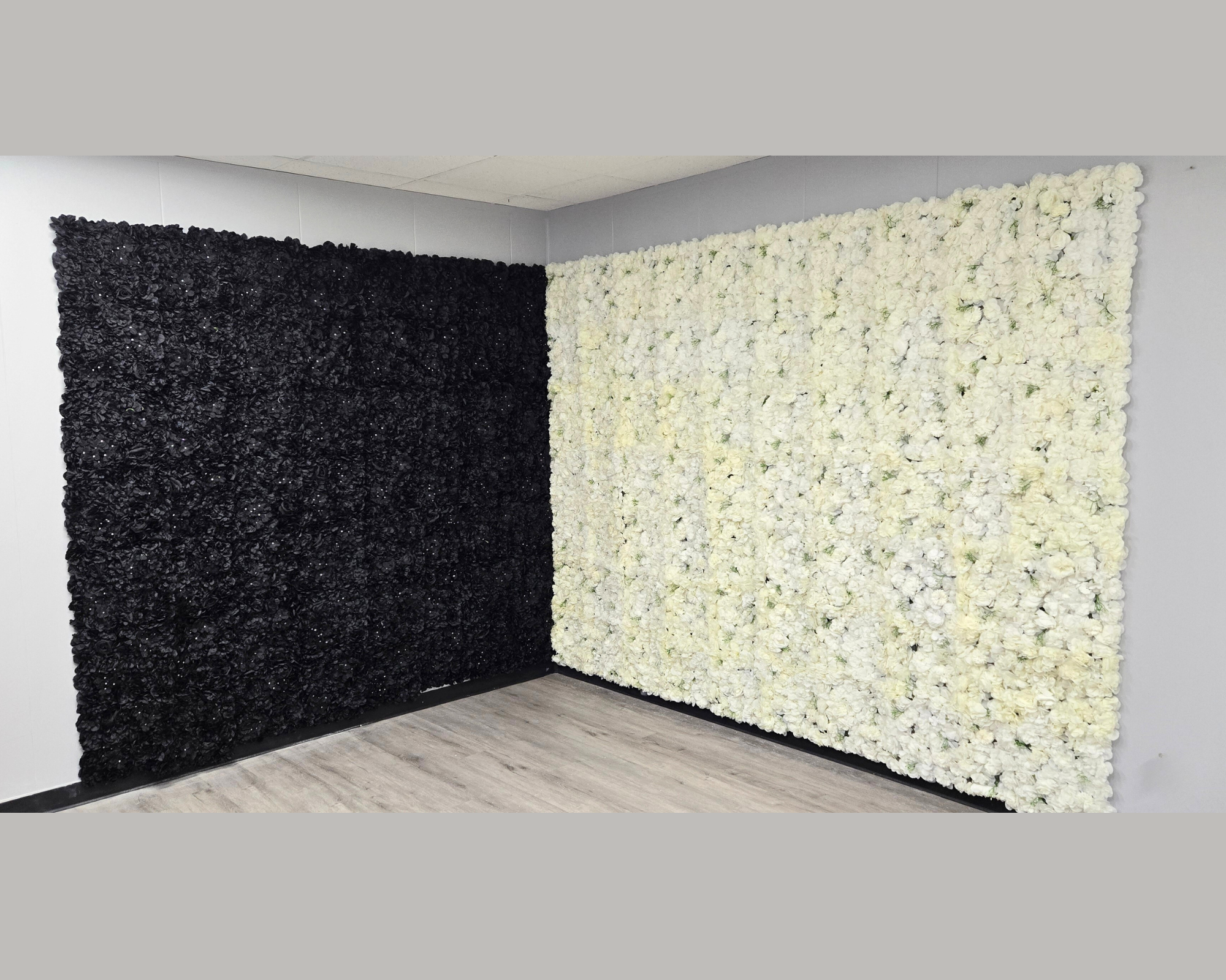 Untitled design (5).png